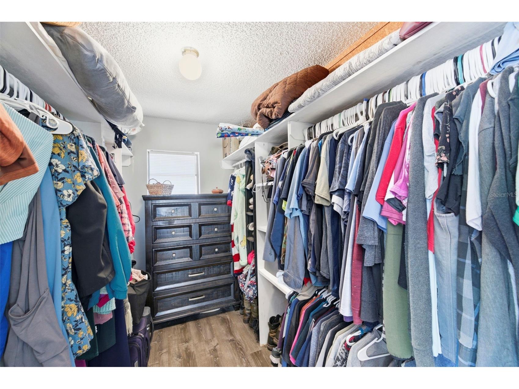 7377 Skylark Drive Spring Hill FL 34606 TB8506472 image23