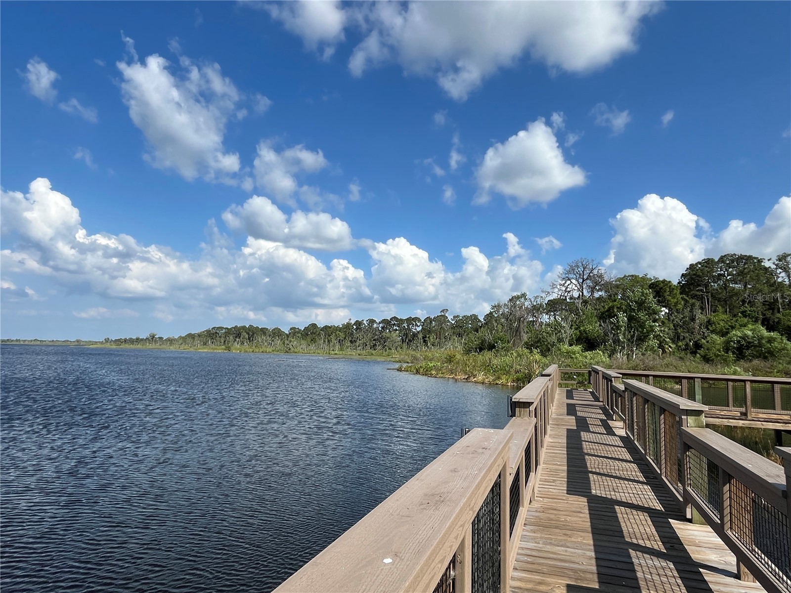 7378 NE 49th Lane Wildwood FL 34785 - LAKE DEATON G5110937 image2