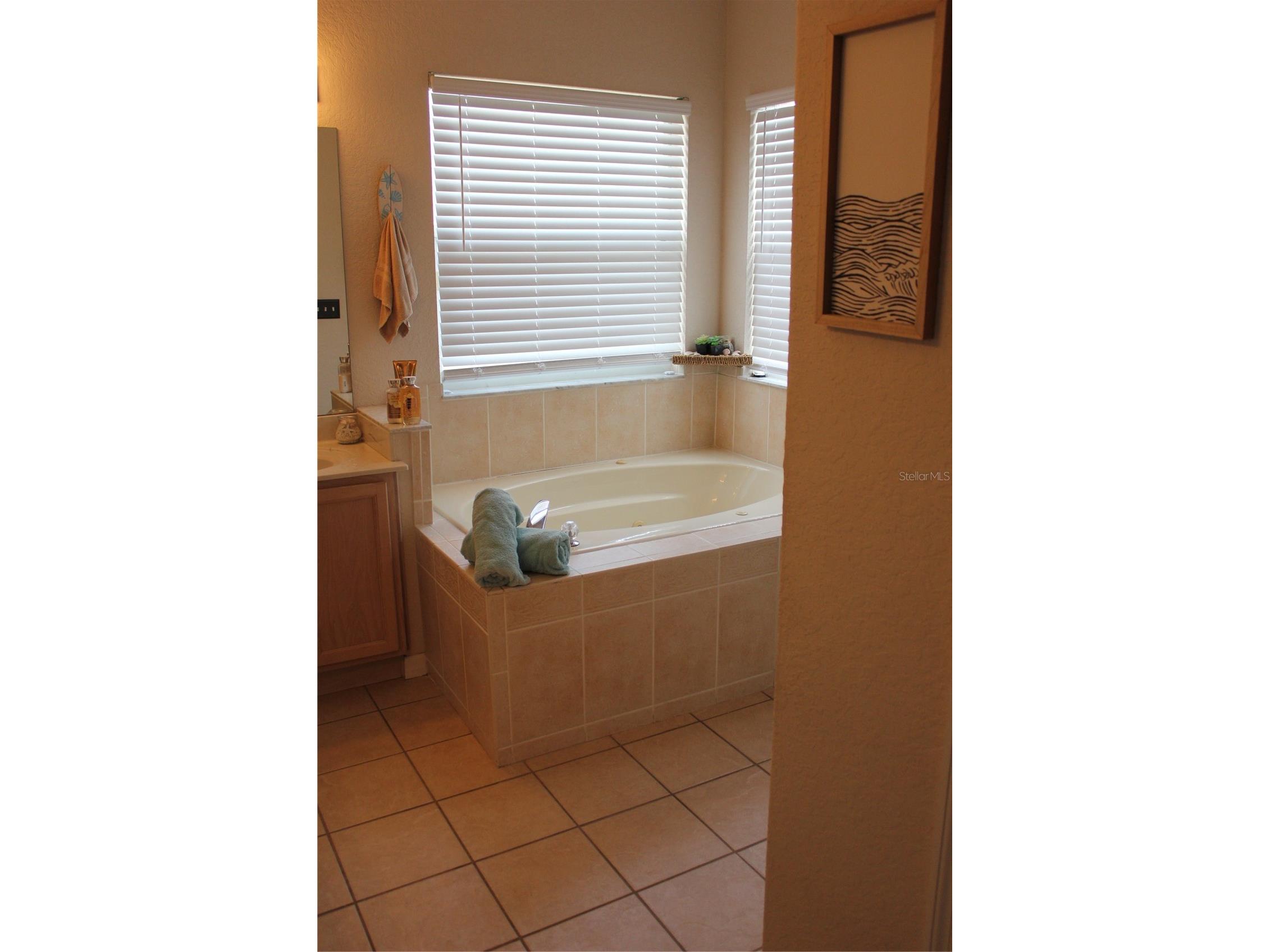 738 Corvina Drive Davenport FL 33897 G5112633 image23