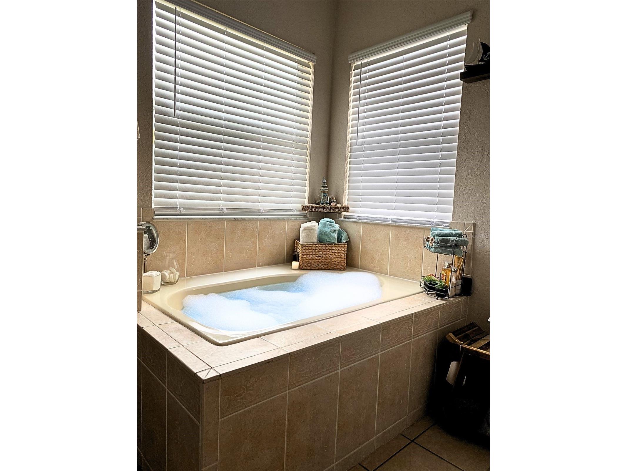 738 Corvina Drive Davenport FL 33897 G5112633 image43