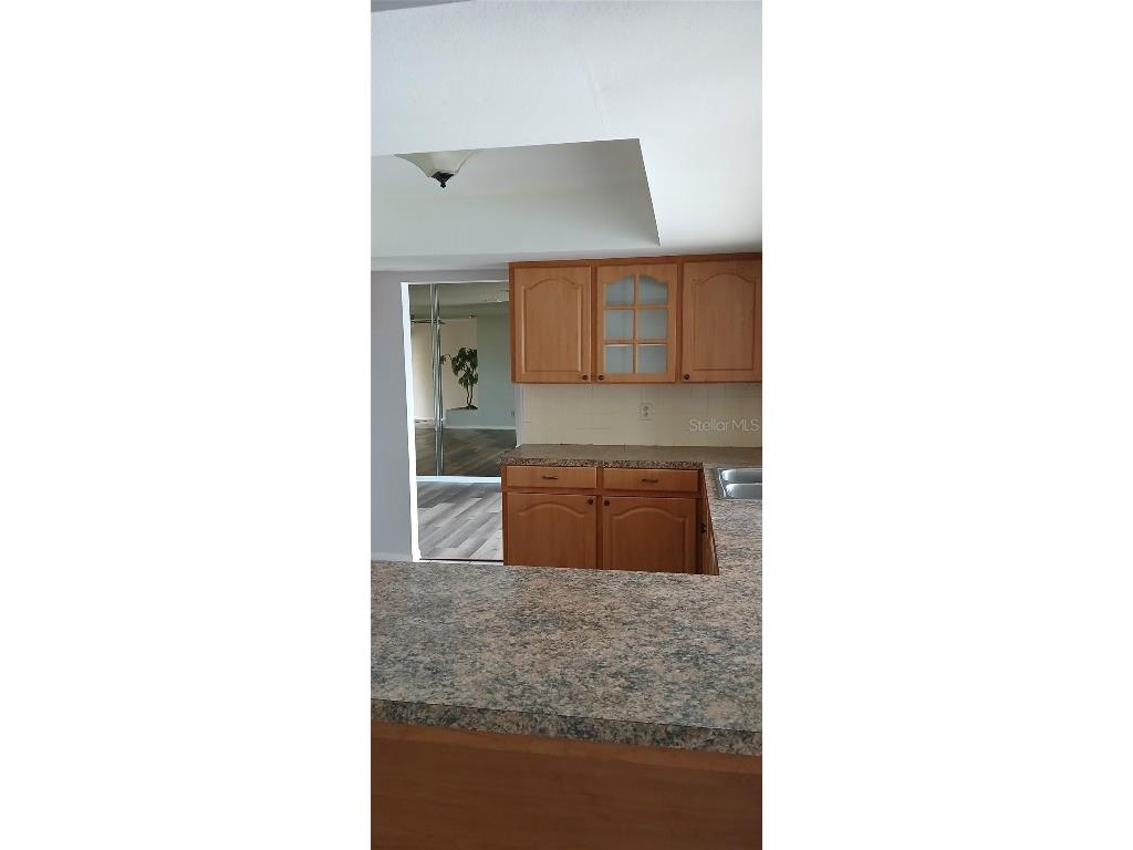 738 Flamingo Drive Apollo Beach FL 33572 O6221047 image4