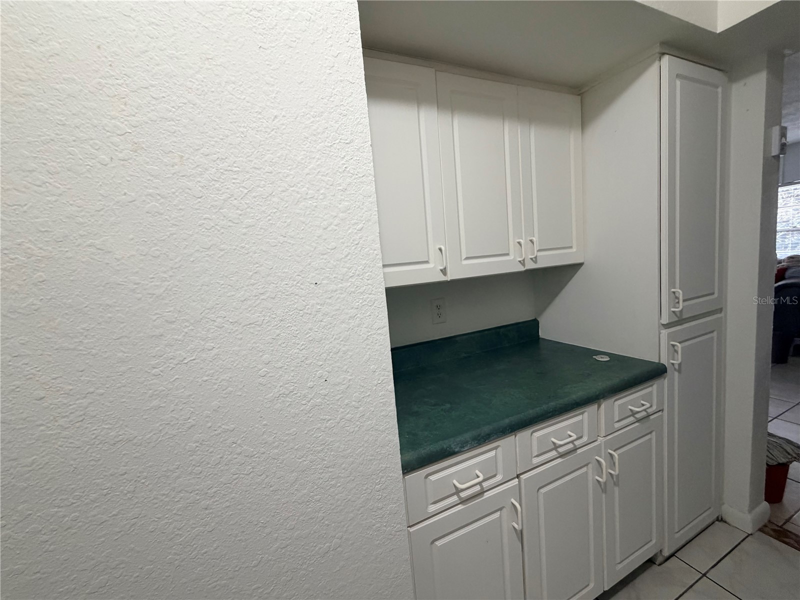 738 Ridenhour Circle #L Orlando FL 32809 O6383477 image4