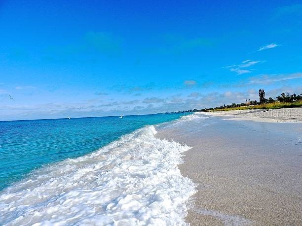 738 Sorrento Inlet #738 Nokomis FL 34275 A4674338 image55