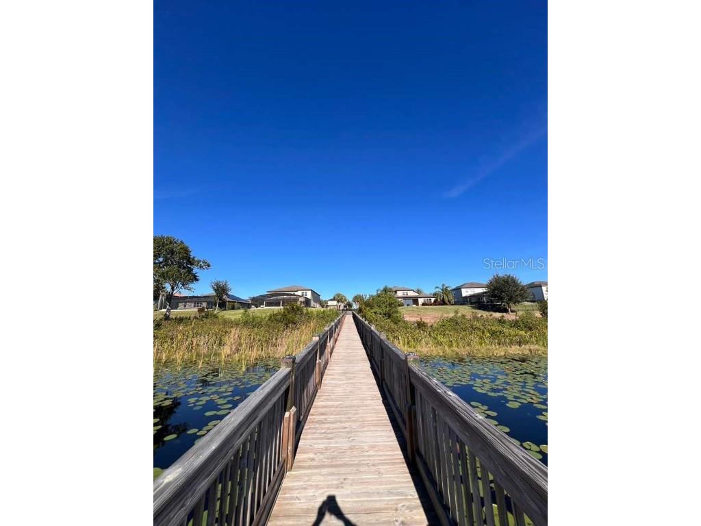 7380 Duxbury Lane Winter Garden FL 34787 S5137656 image23