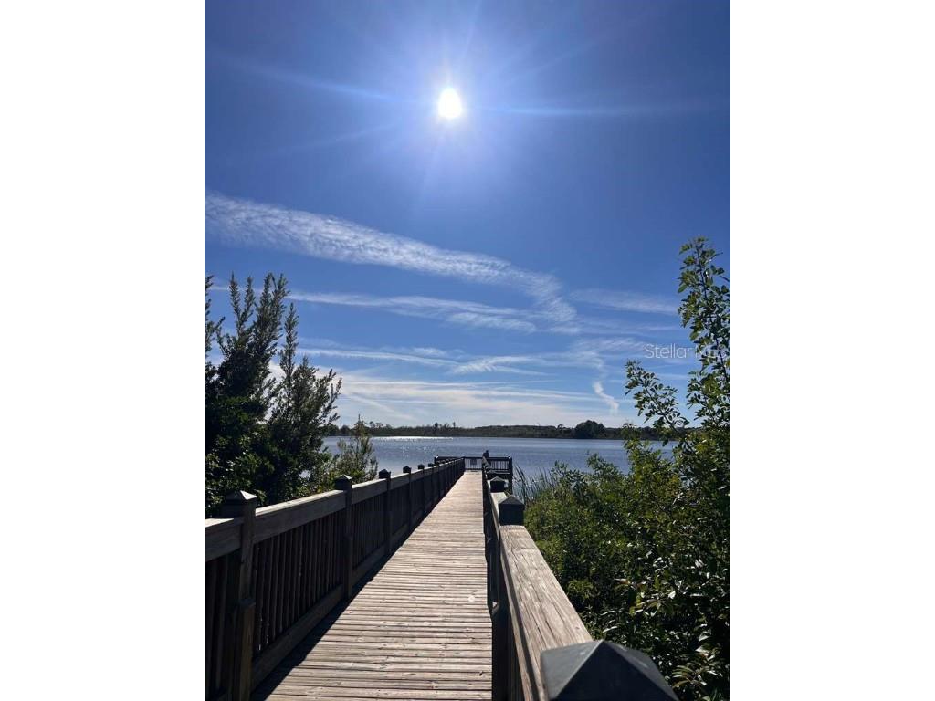 7380 Duxbury Lane Winter Garden FL 34787 S5137656 image25