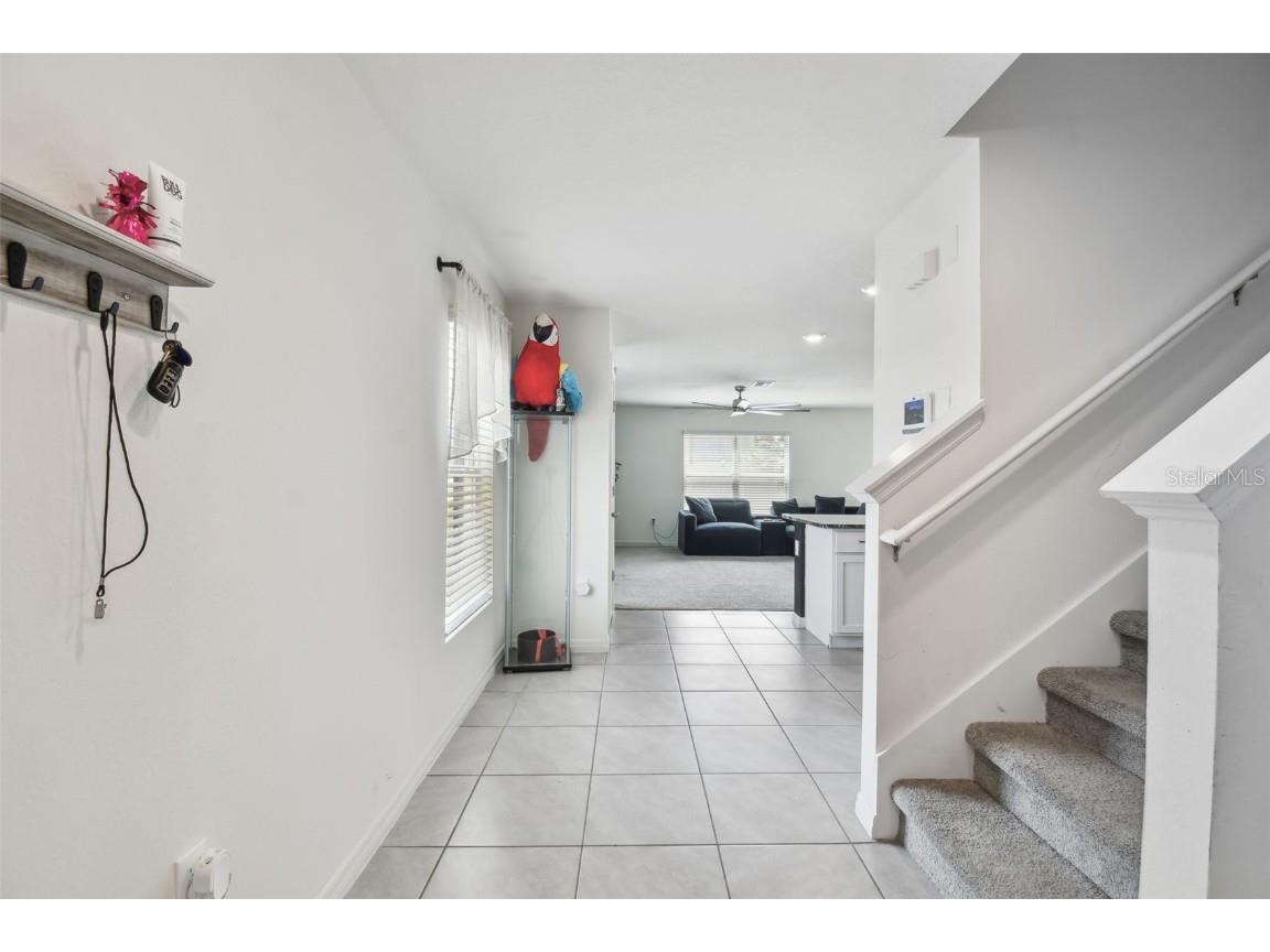 7380 Sail Clover Lane Zephyrhills FL 33540 TB8388140 image20