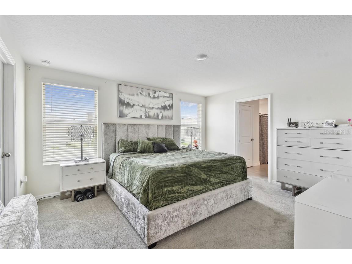 7380 Sail Clover Lane Zephyrhills FL 33540 TB8388140 image28