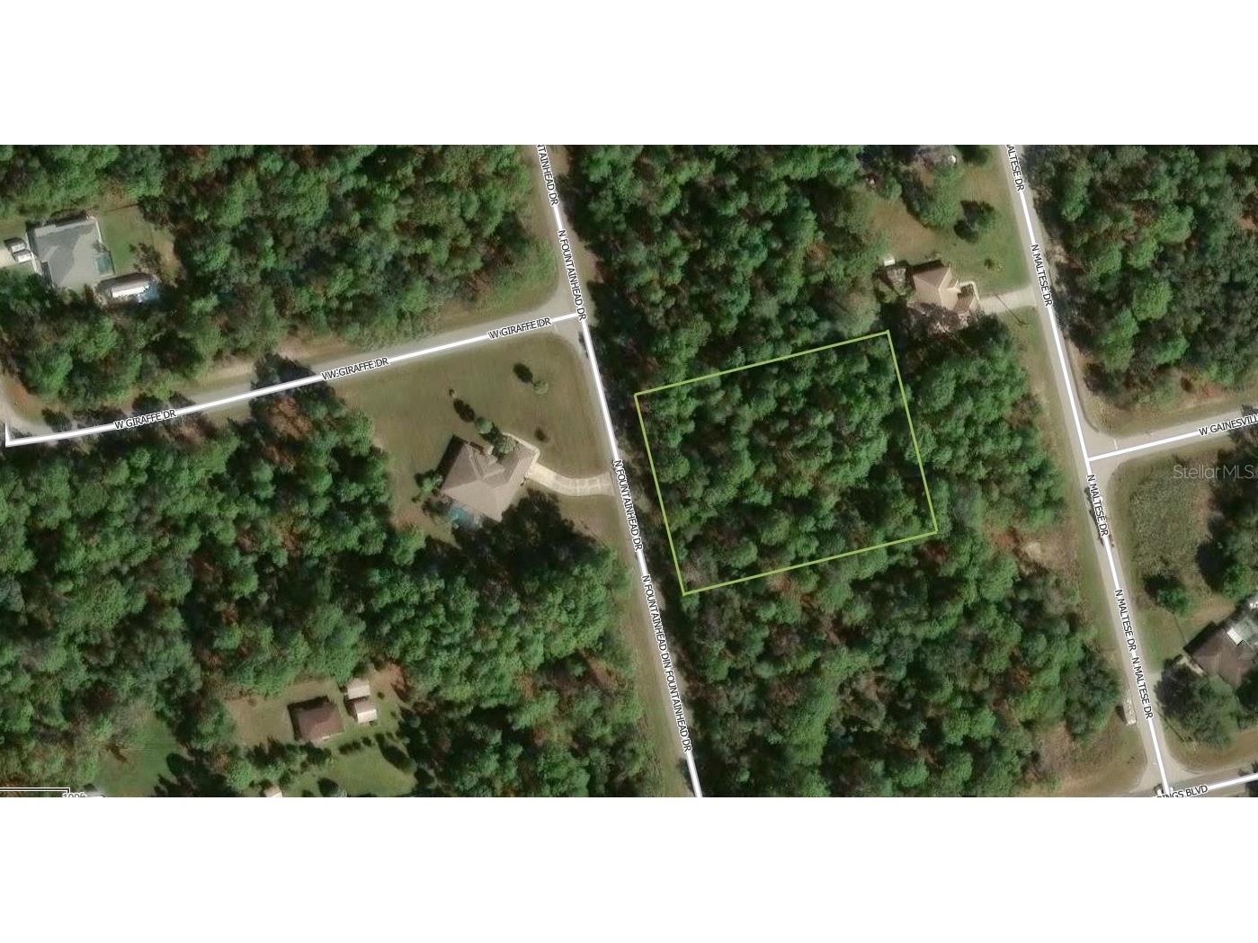 7381 N Fountainhead Drive Citrus Springs FL 34433 A4693210 image1
