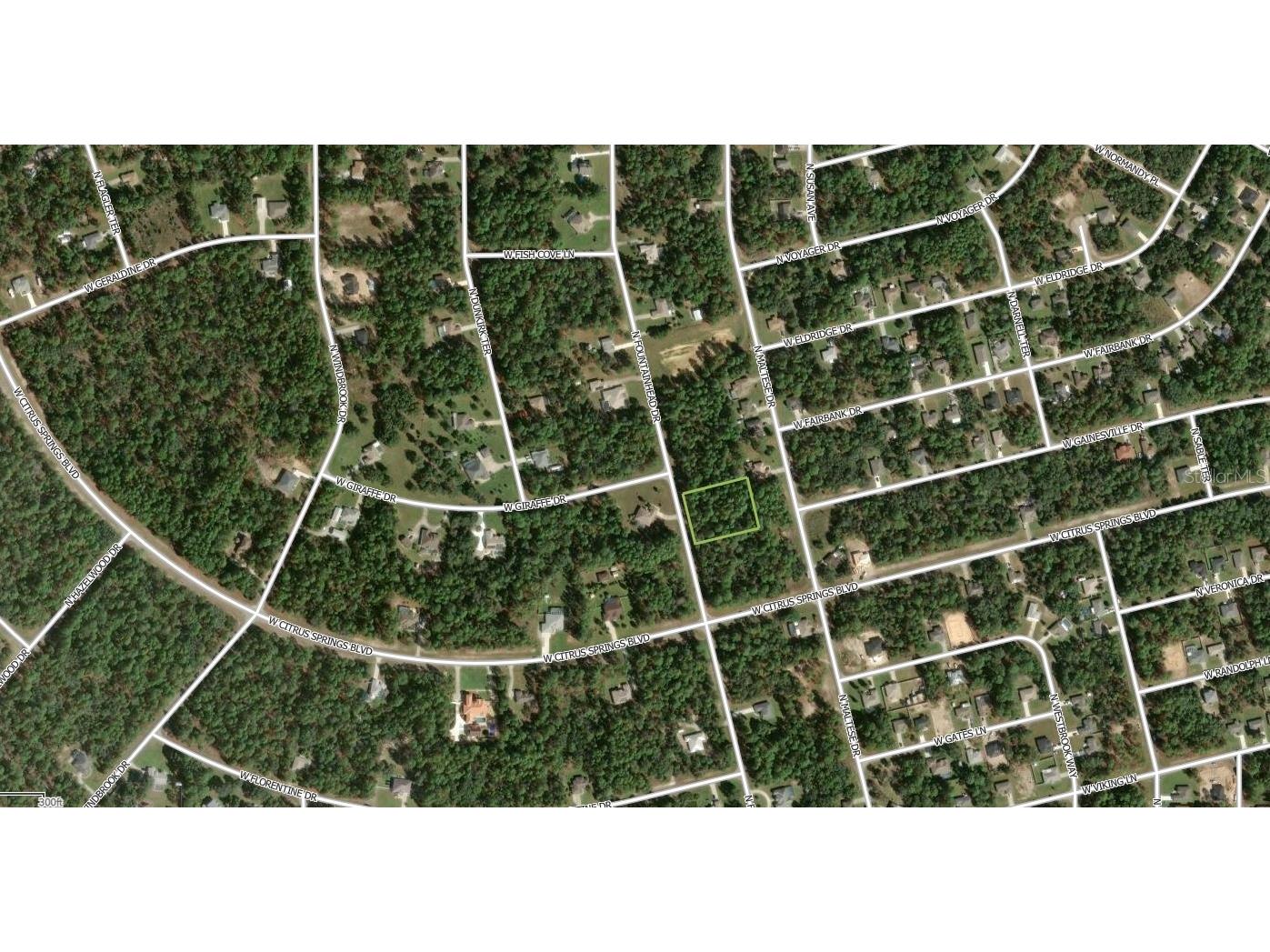 7381 N Fountainhead Drive Citrus Springs FL 34433 A4693210 image2