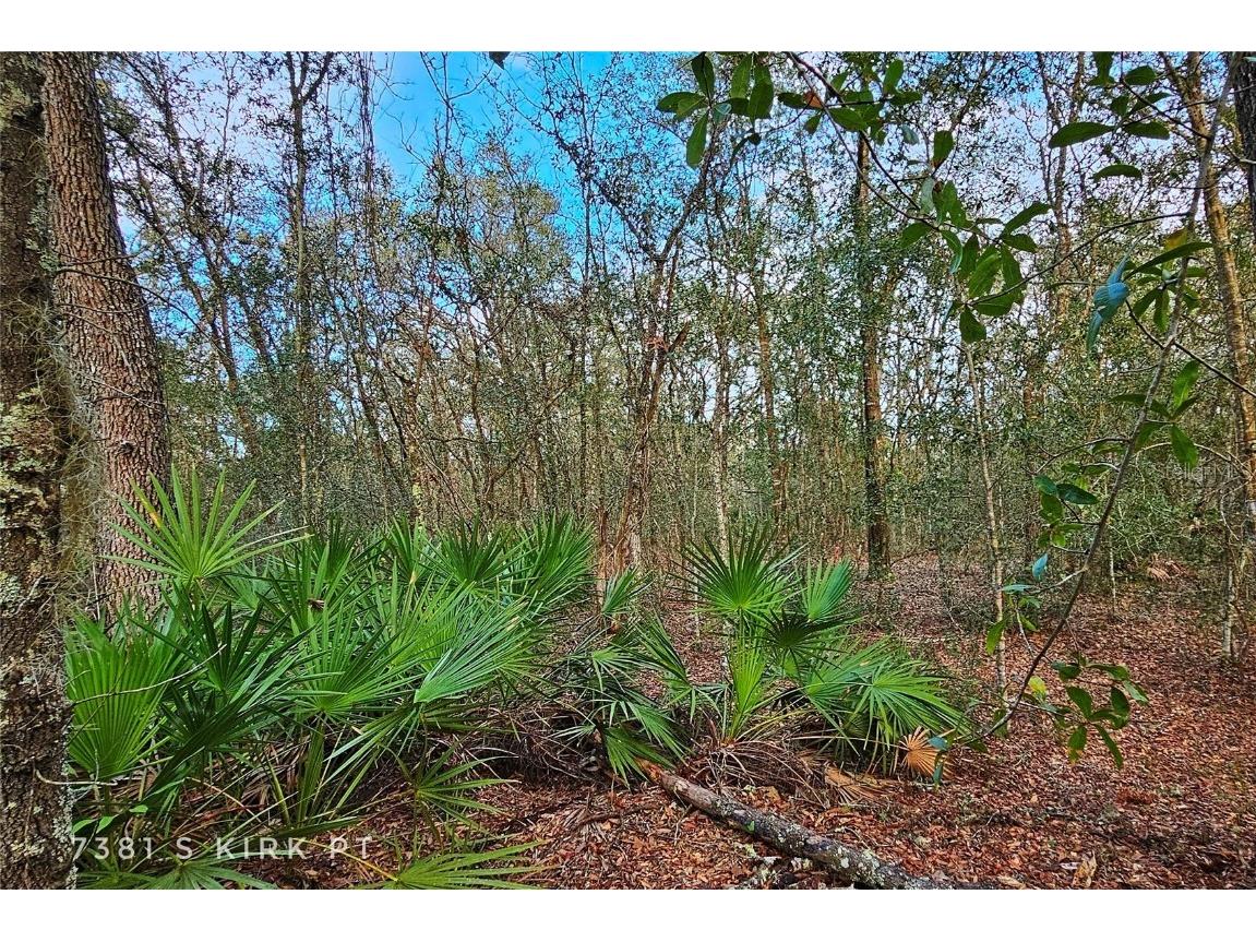 7381 S Kirk Point Lecanto FL 34461 U8225518 image1