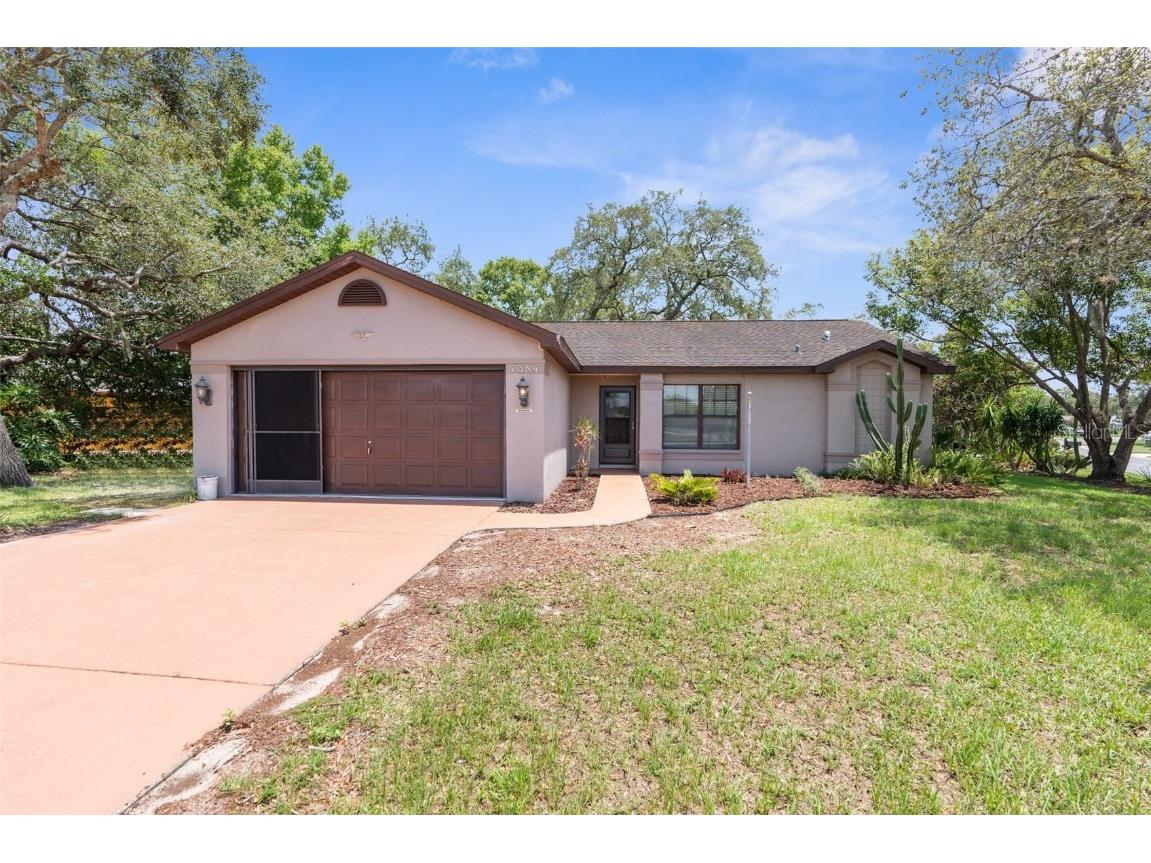 7384 Flyway Drive Spring Hill FL 34607 T3534759 image1