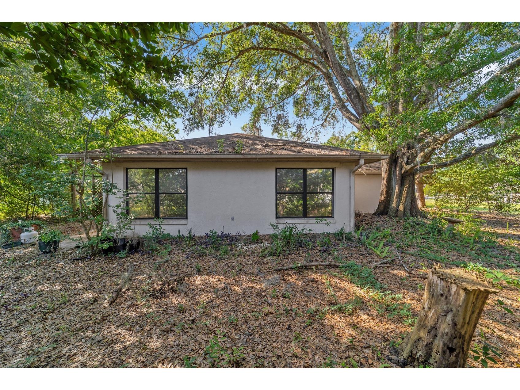 7385 SW 103rd Lane Ocala FL 34476 O6402671 image33