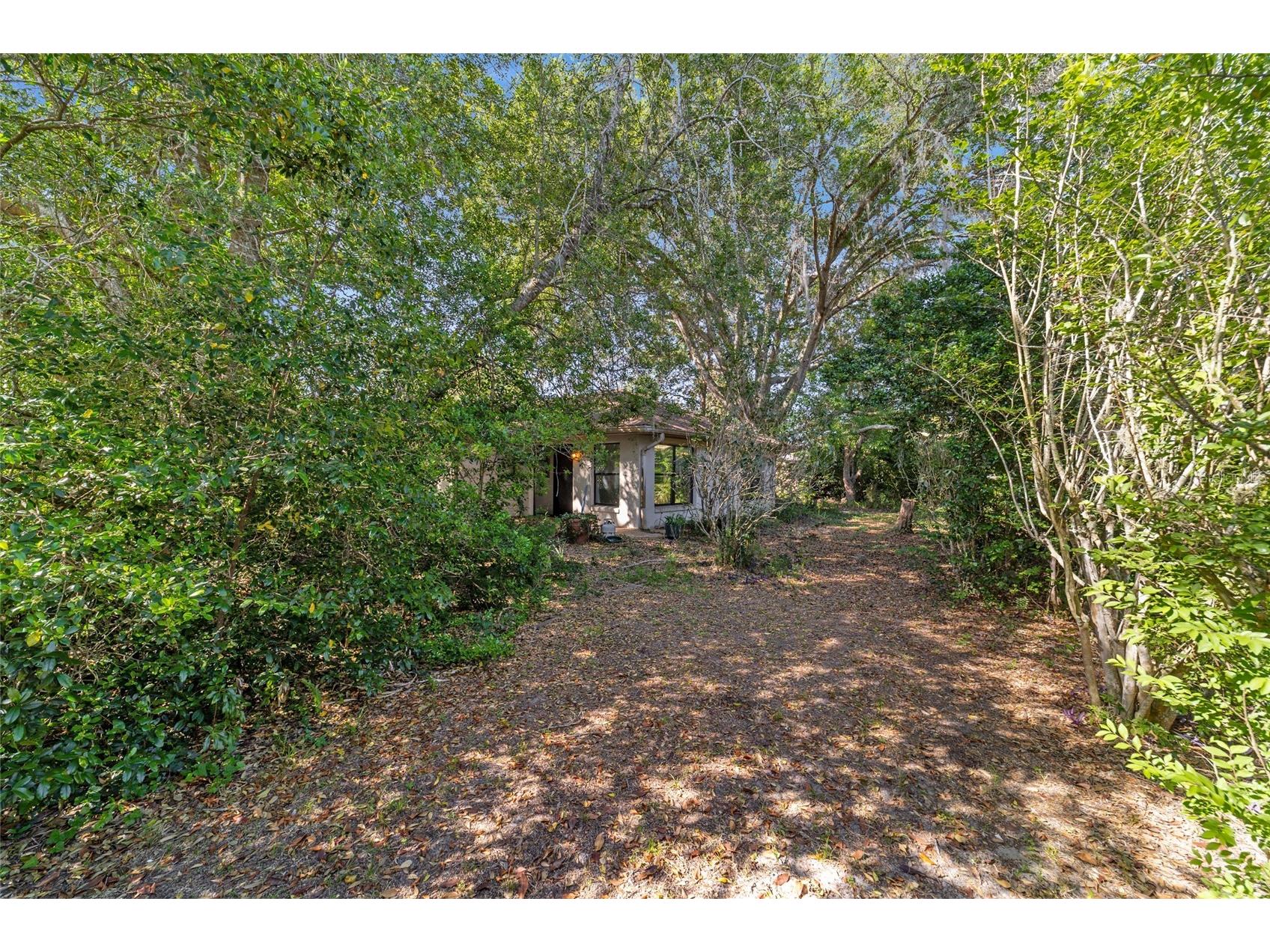 7385 SW 103rd Lane Ocala FL 34476 O6402671 image34
