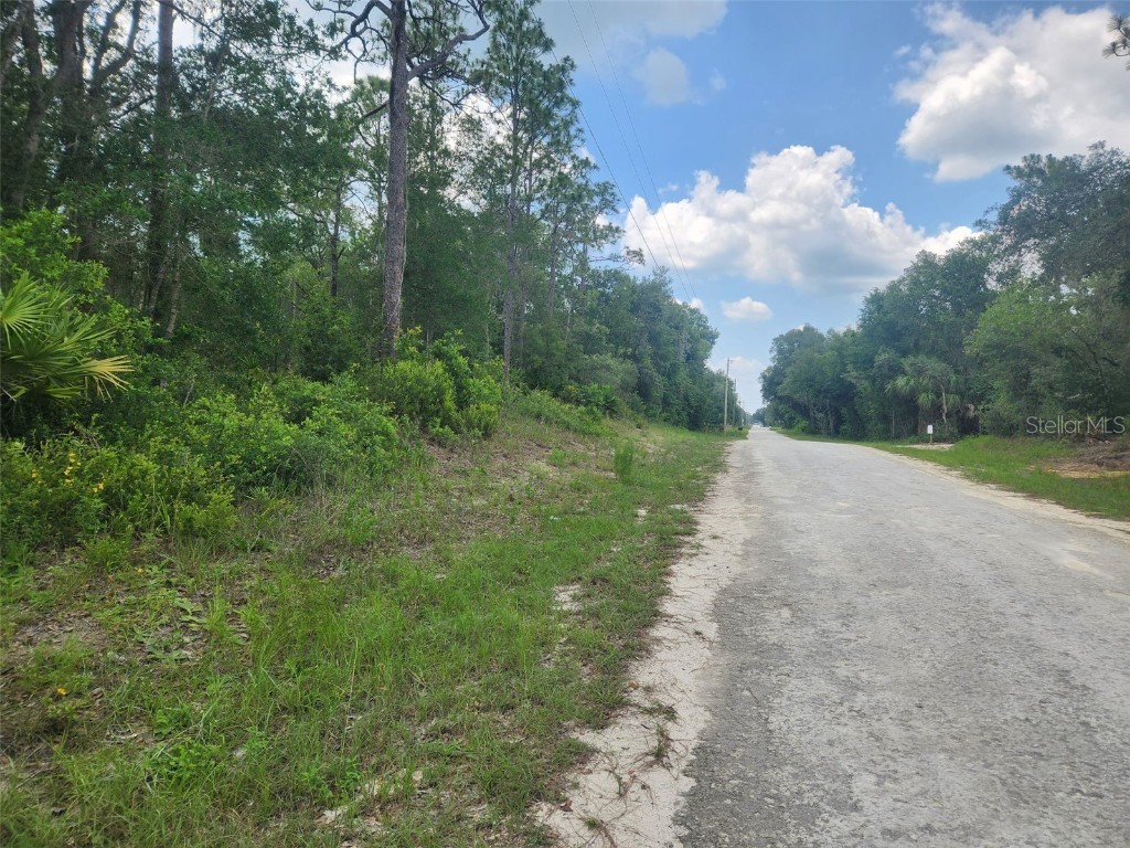 7387 Alloy Street Webster FL 33597 A4576702 image1