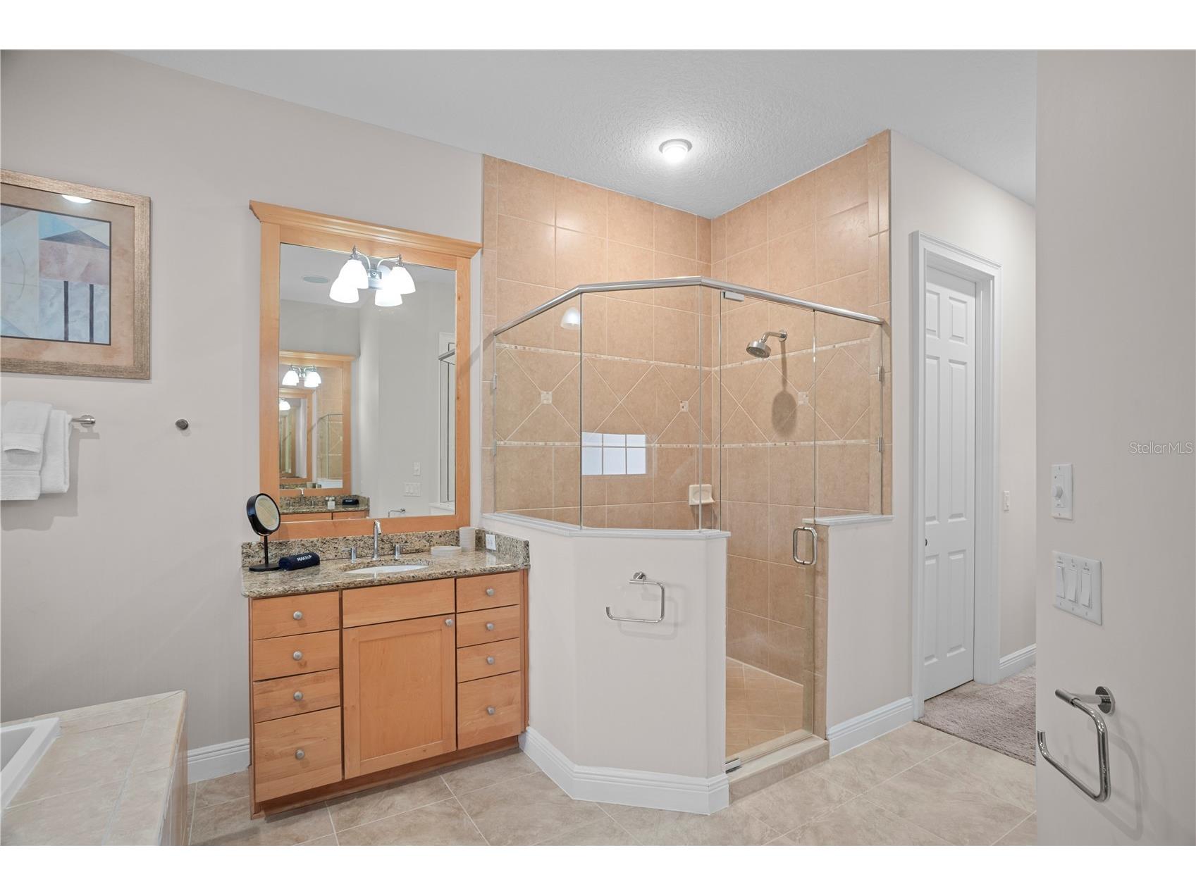 7388 Gathering Court Reunion FL 34747 O6400421 image31