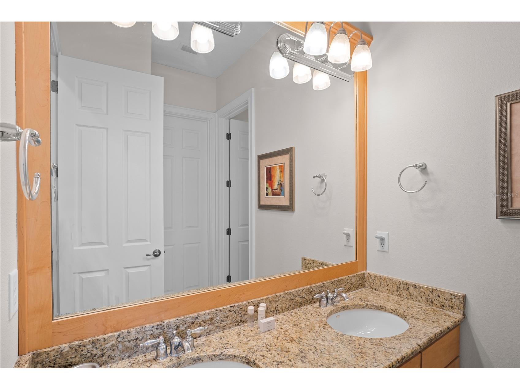 7388 Gathering Court Reunion FL 34747 O6400421 image40