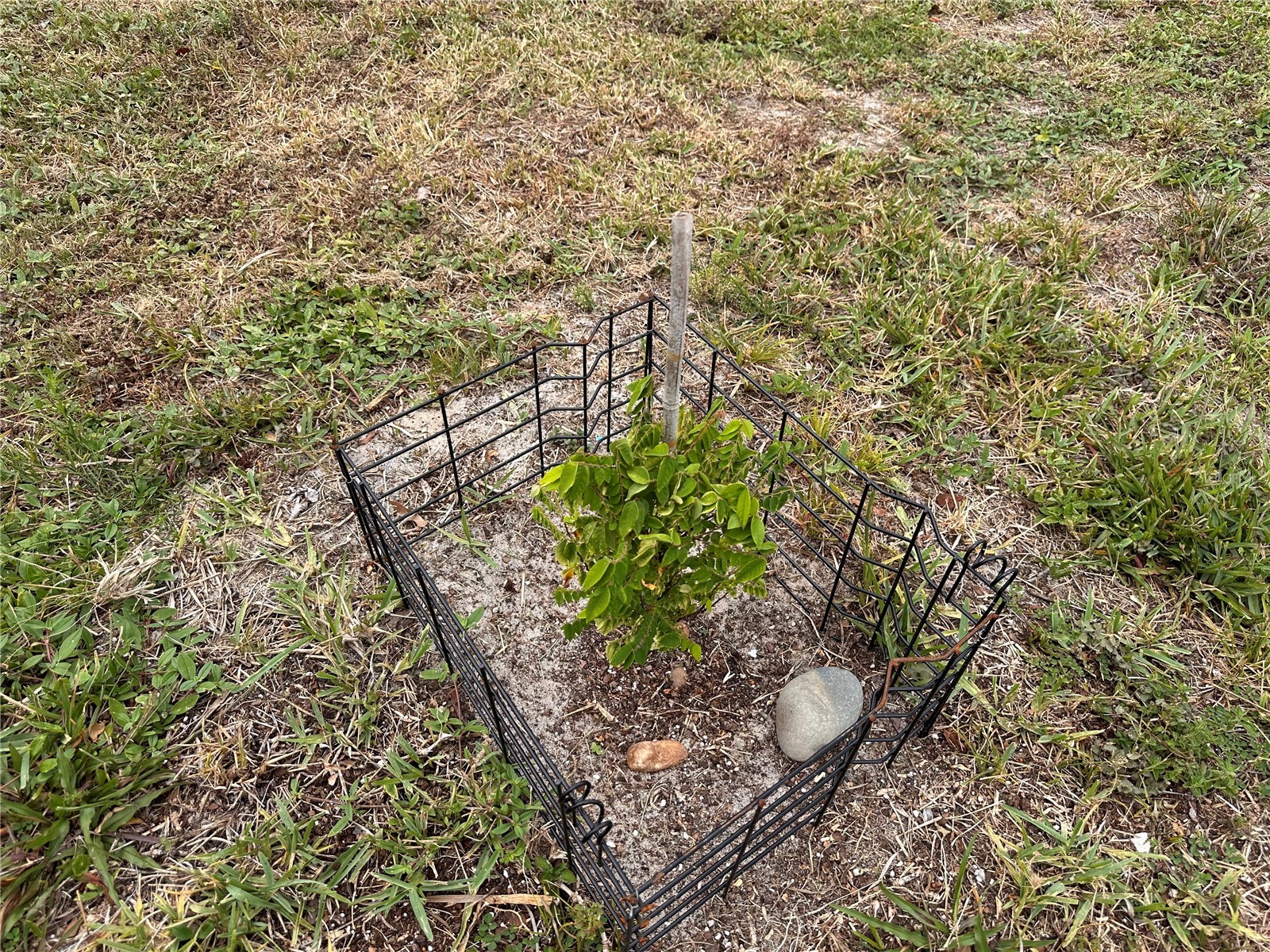 7388 SE Swan Avenue Hobe Sound FL 33455 O6415428 image25