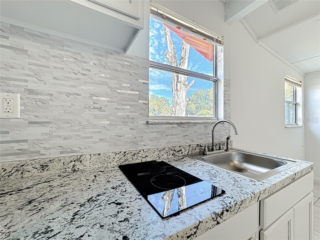 739 Dromedary Drive #EFFICIENCY Kissimmee FL 34759 O6364604 image10