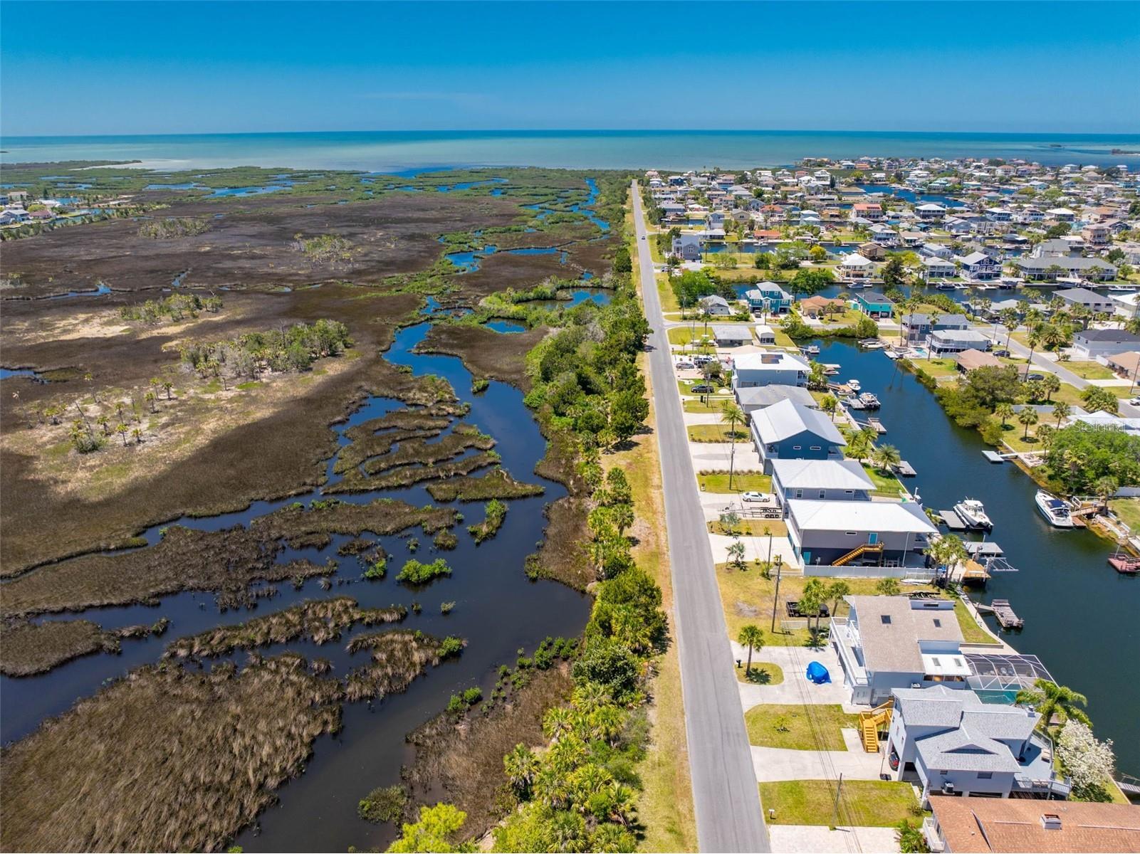 7390 Shoal Line Boulevard Weeki Wachee FL 34607 TB8482760 image62
