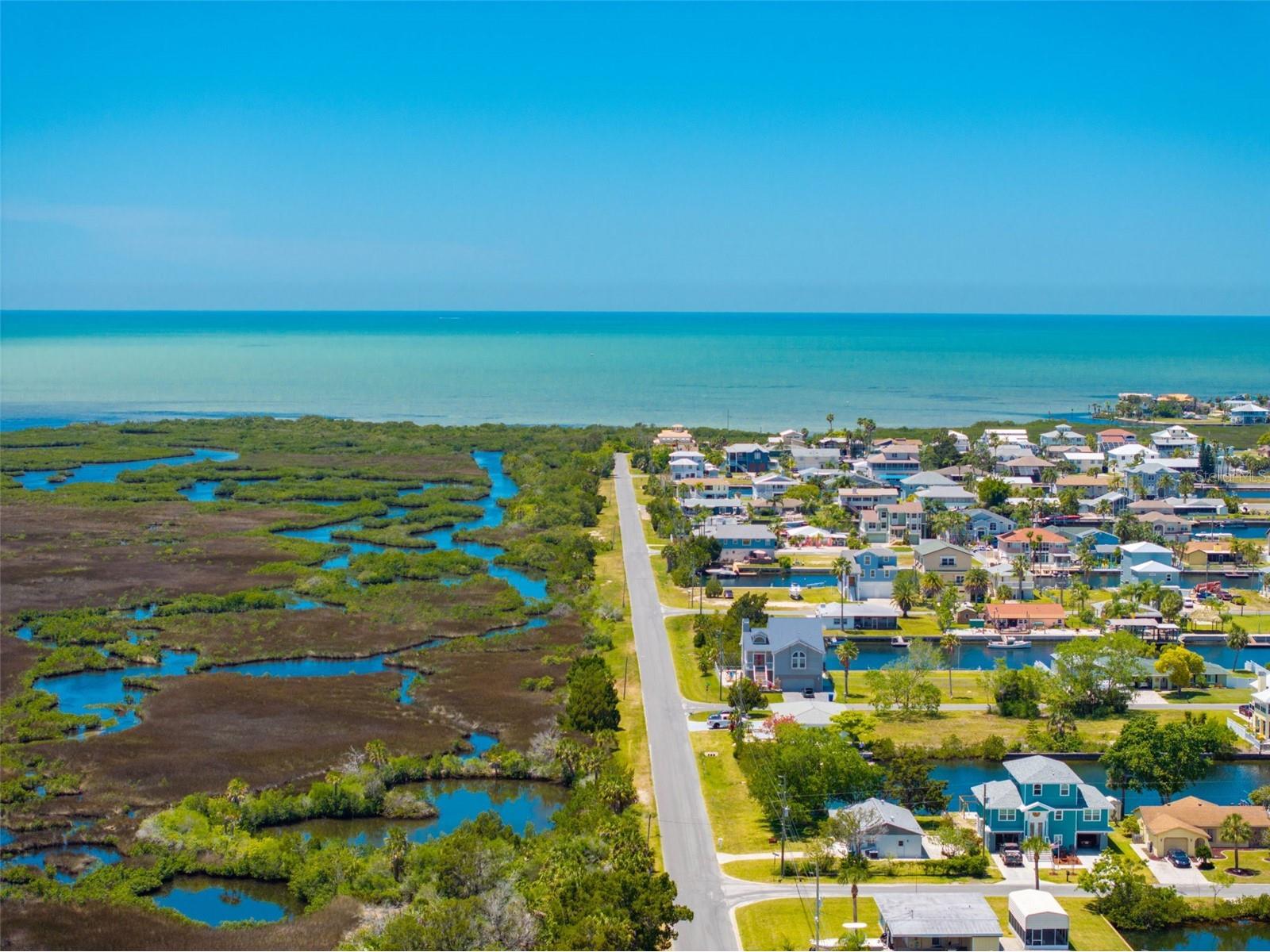 7390 Shoal Line Boulevard Weeki Wachee FL 34607 TB8482760 image63