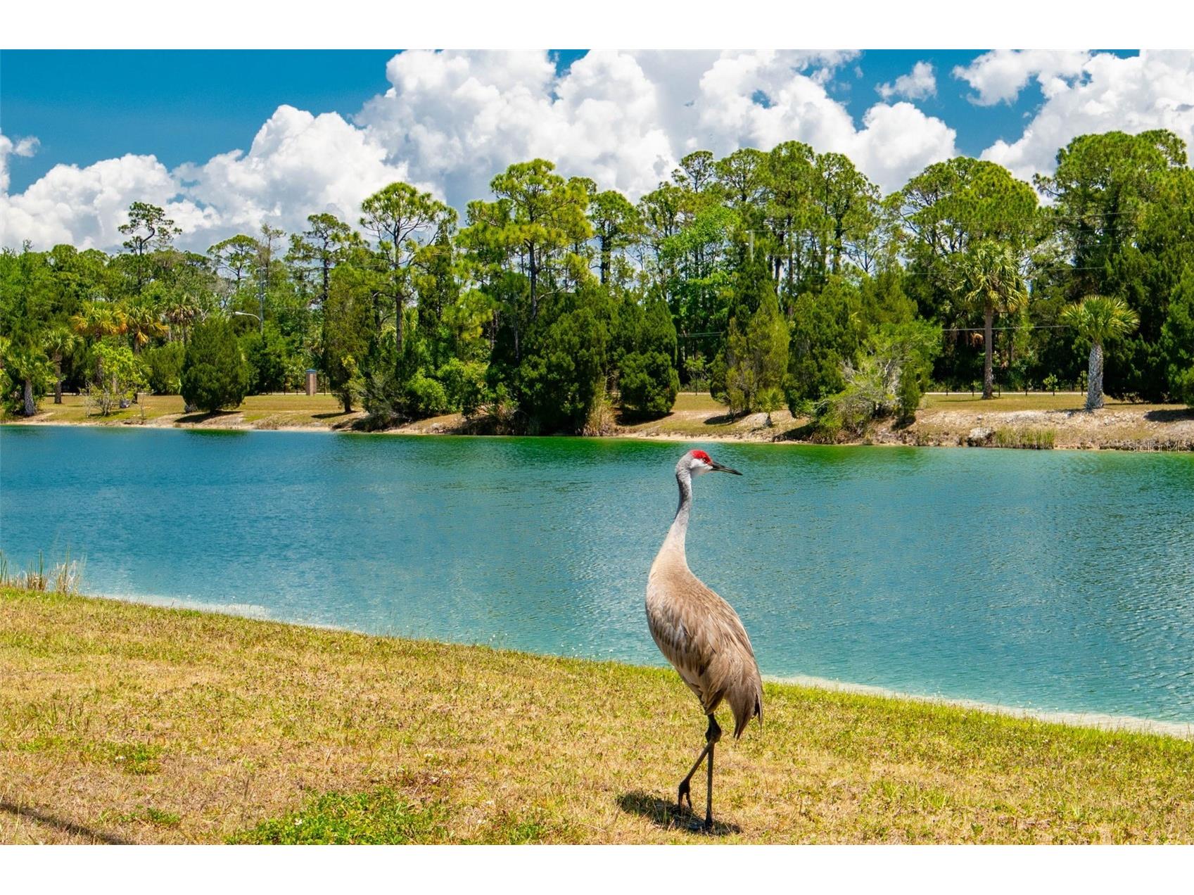 7390 Shoal Line Boulevard Weeki Wachee FL 34607 TB8482760 image68