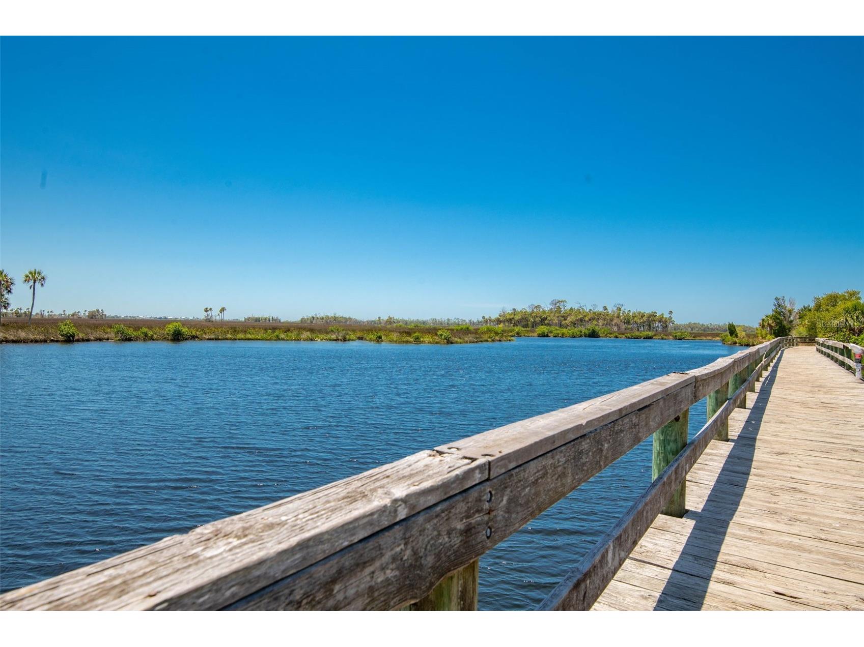 7390 Shoal Line Boulevard Weeki Wachee FL 34607 TB8482760 image70