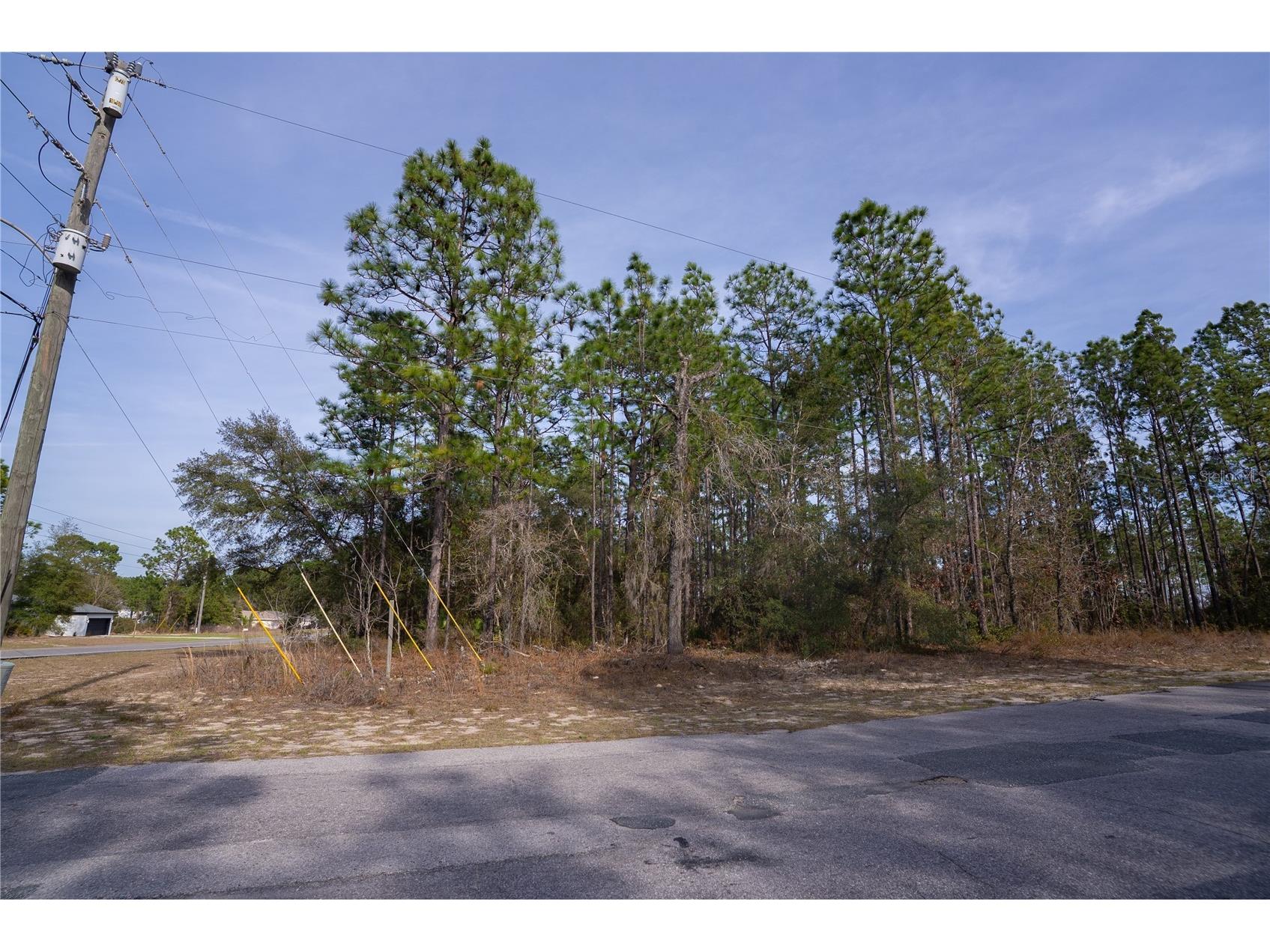 7391 N Cricket Drive Citrus Springs FL 34434 OM719364 image2