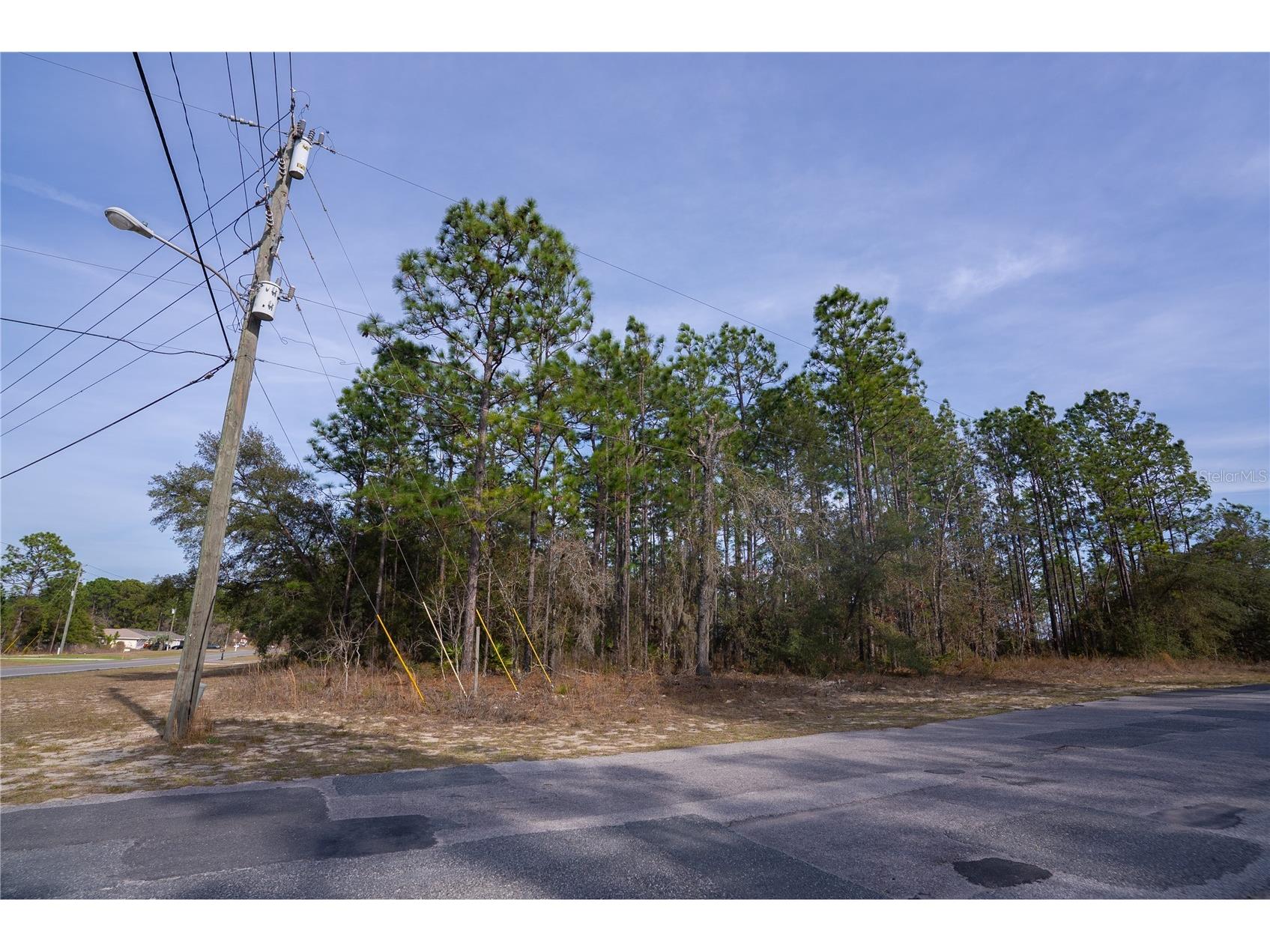 7391 N Cricket Drive Citrus Springs FL 34434 OM719364 image3