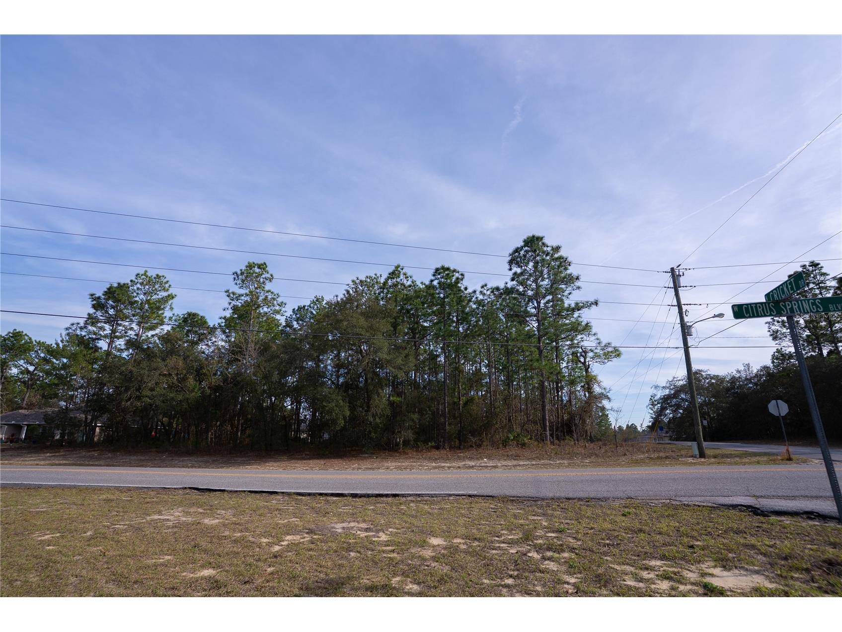 7391 N Cricket Drive Citrus Springs FL 34434 OM719364 image4
