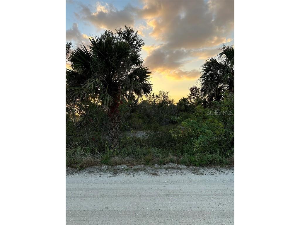 7391 Swiss Boulevard Punta Gorda FL 33982 C7471362 image1