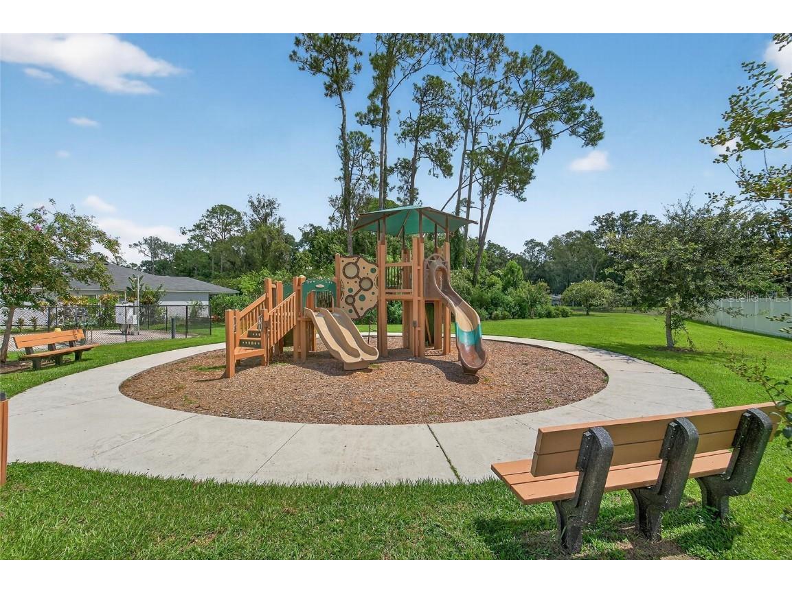 7392 Ibis Drive Lakeland FL 33810 L4955579 image36