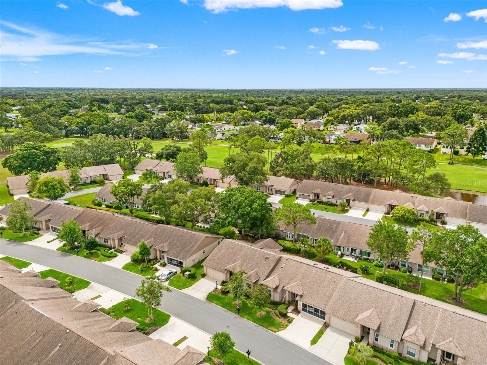 7392 Meadow Brook Lane Spring Hill FL 34606 W7887684 image46