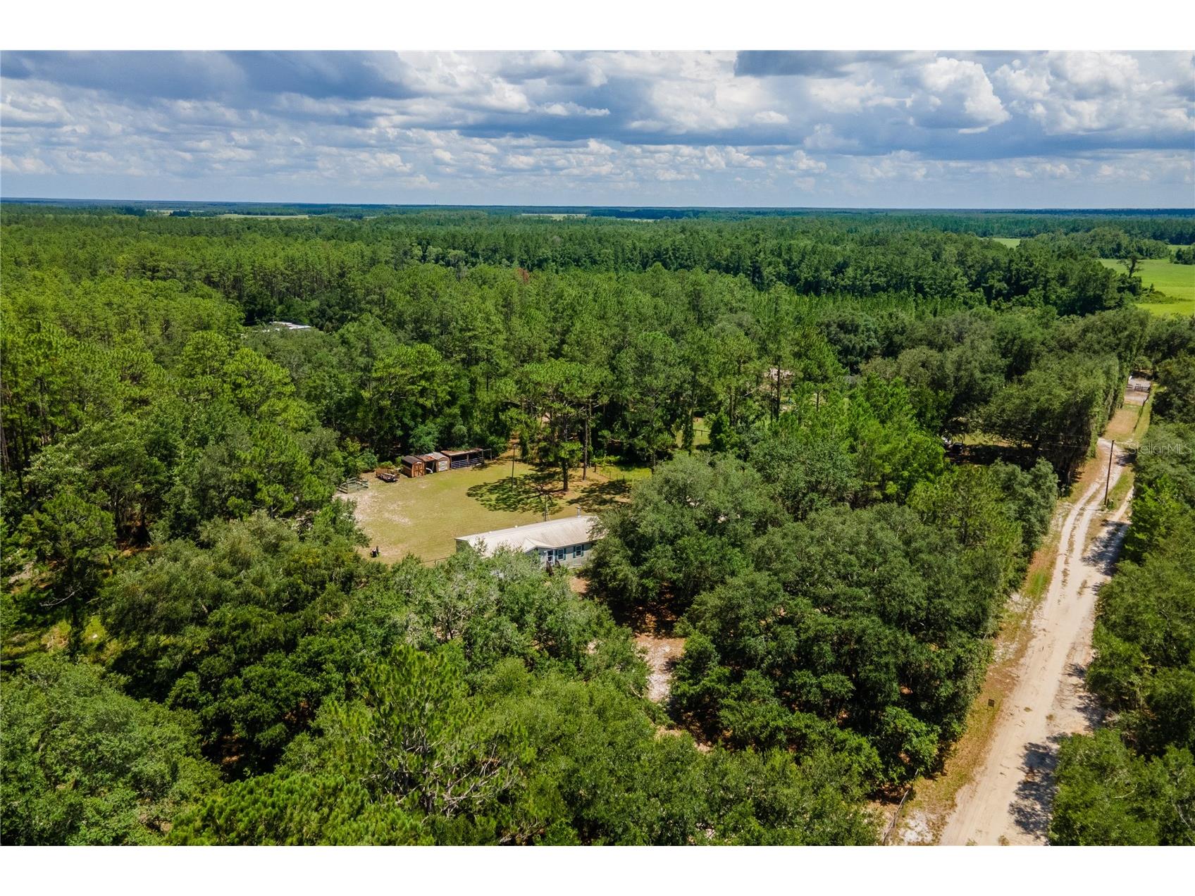 7392 NE 192nd Place Citra FL 32113 OM728186 image42