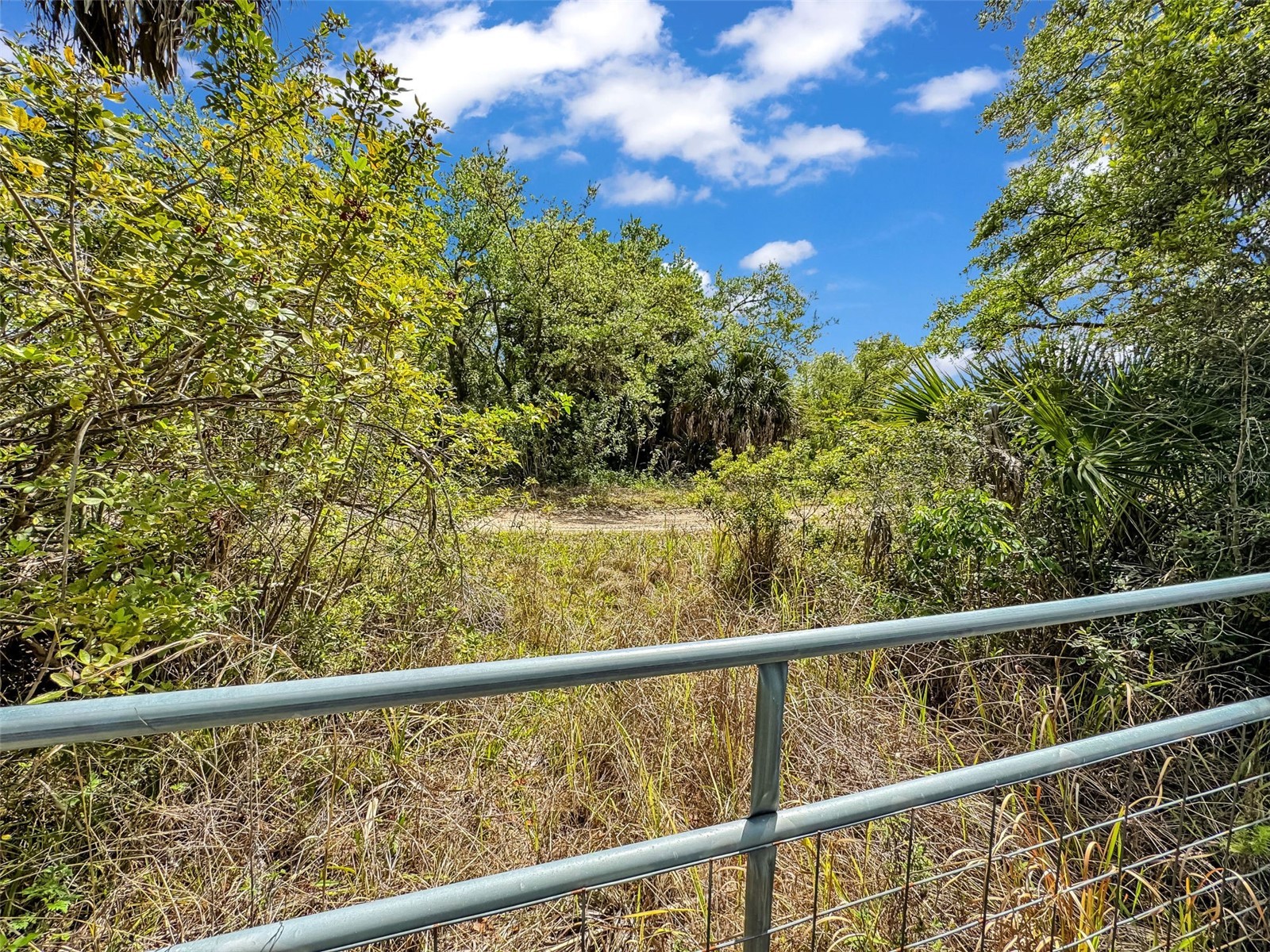 7392 Swiss Boulevard Punta Gorda FL 33982 C7524340 image65