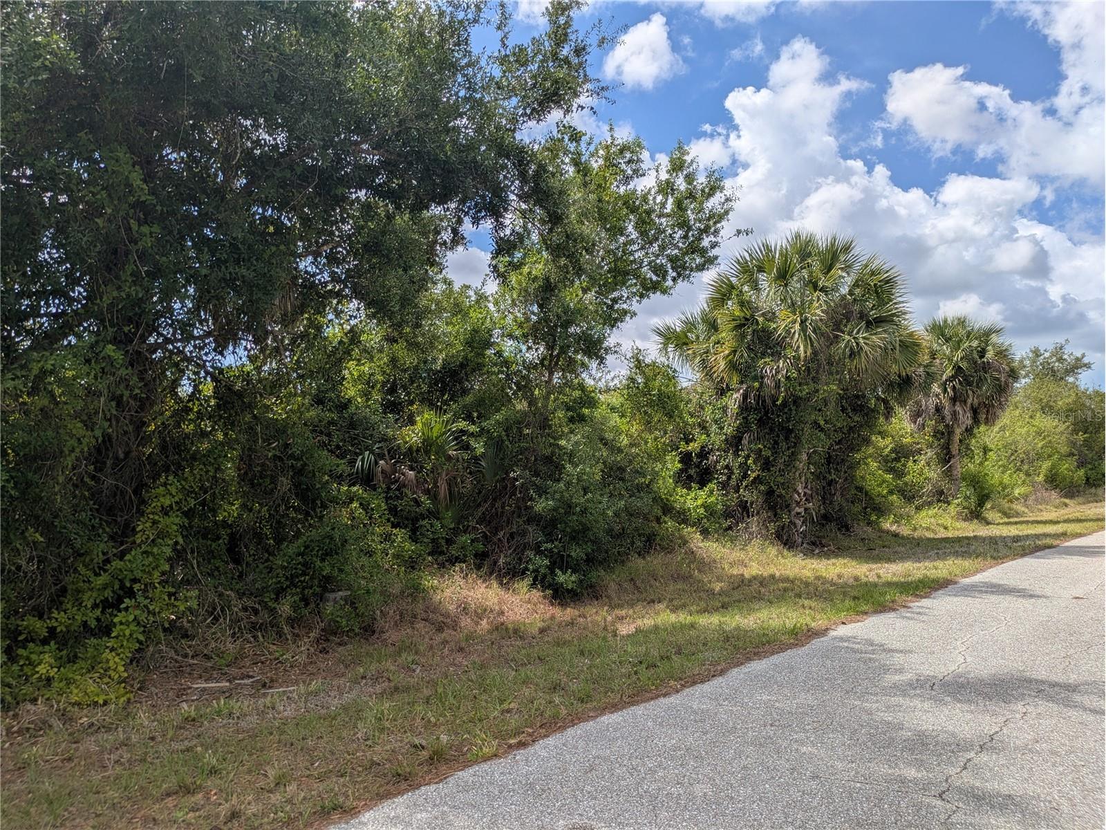 7396 Widmer Street Port Charlotte FL 33981 C7525808 image1