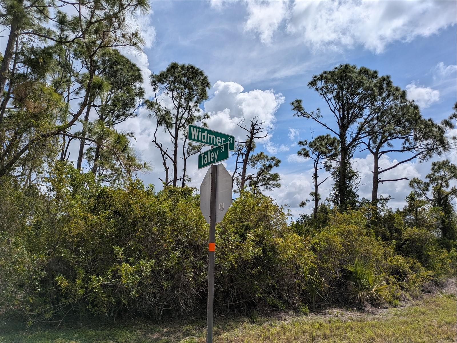 7396 Widmer Street Port Charlotte FL 33981 C7525808 image10