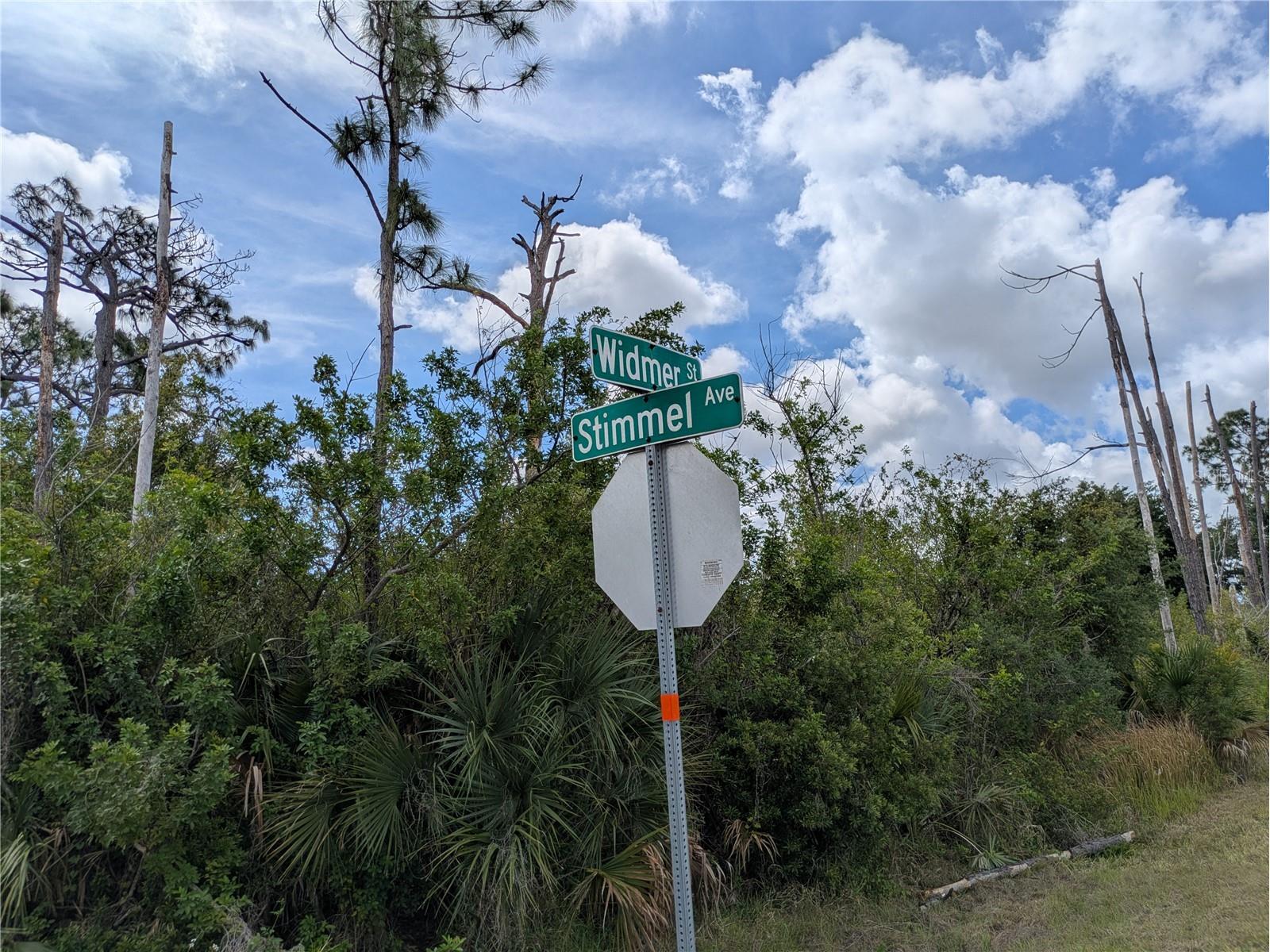 7396 Widmer Street Port Charlotte FL 33981 C7525808 image11