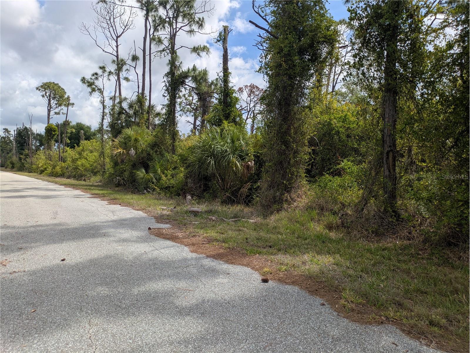 7396 Widmer Street Port Charlotte FL 33981 C7525808 image2