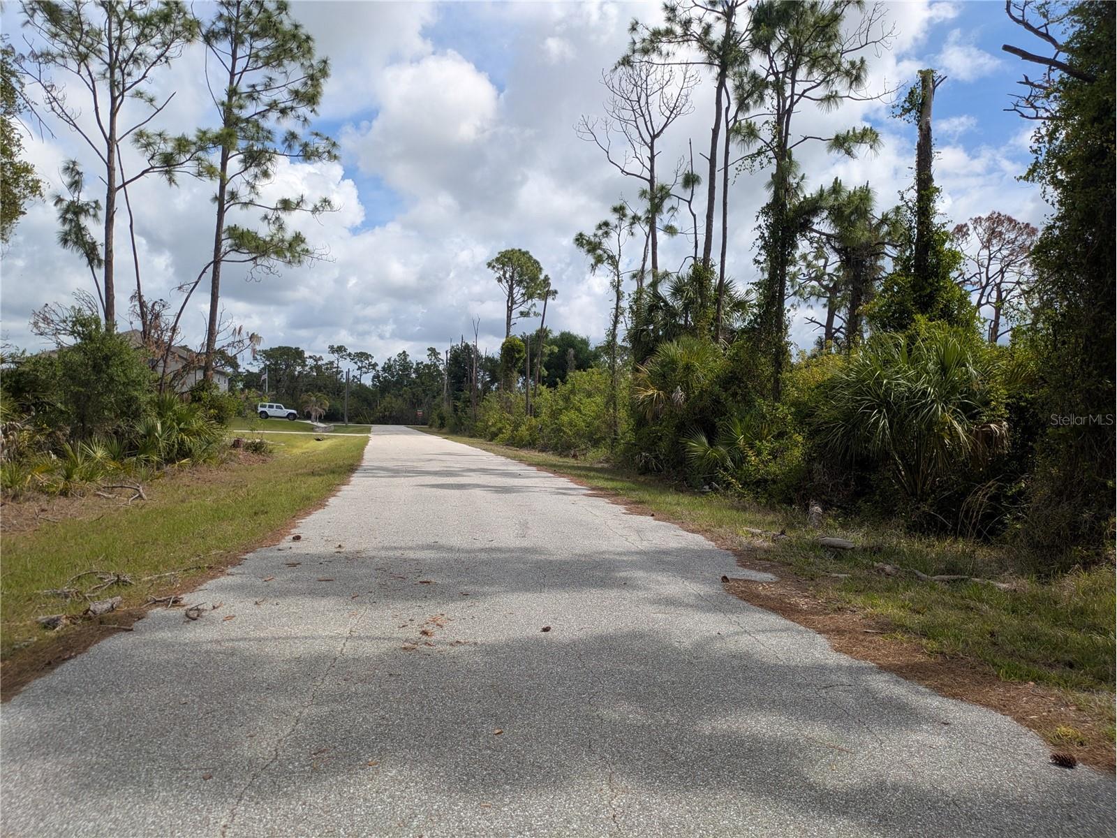 7396 Widmer Street Port Charlotte FL 33981 C7525808 image3