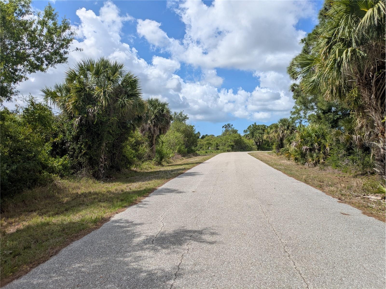 7396 Widmer Street Port Charlotte FL 33981 C7525808 image4