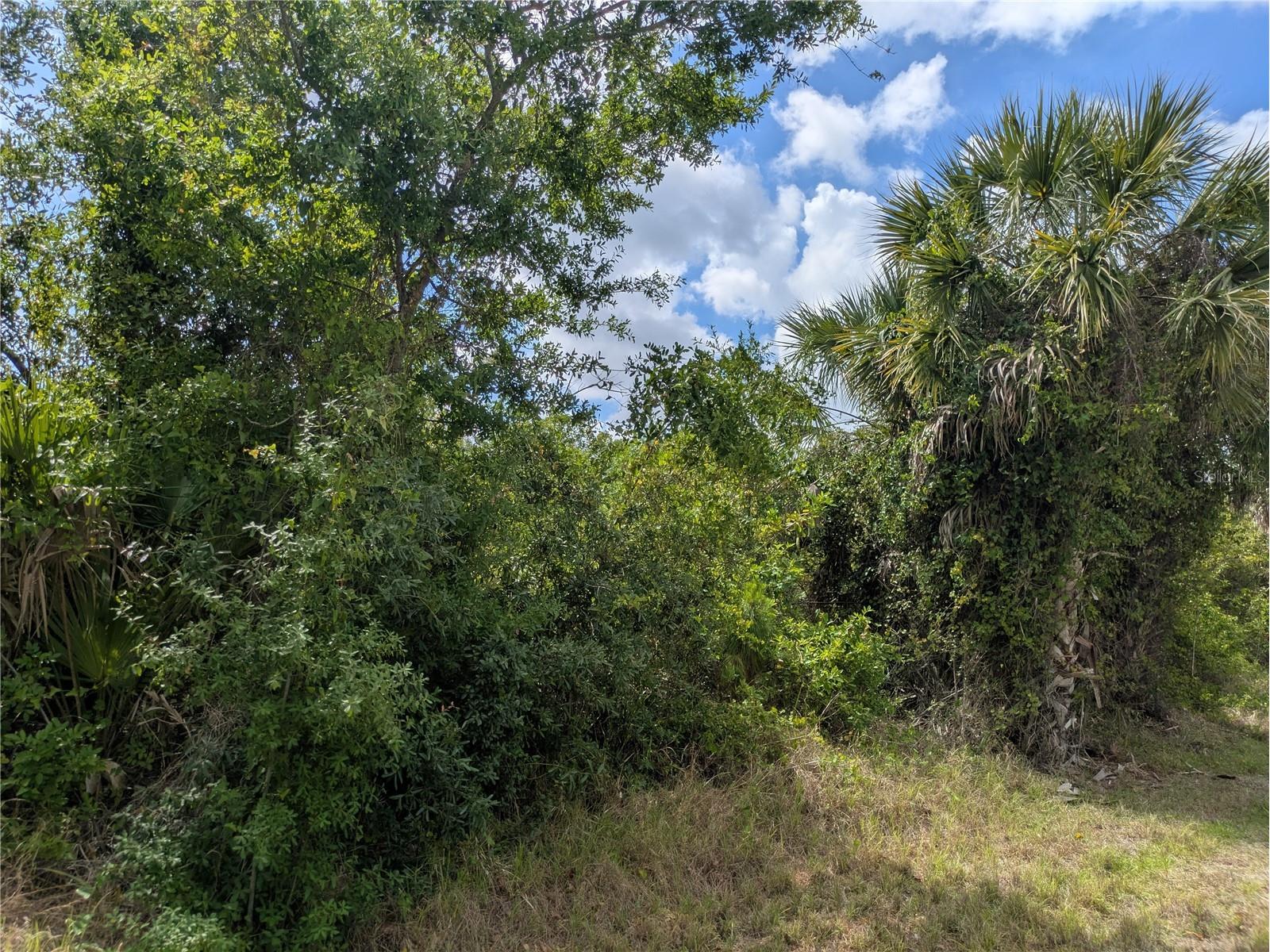 7396 Widmer Street Port Charlotte FL 33981 C7525808 image5