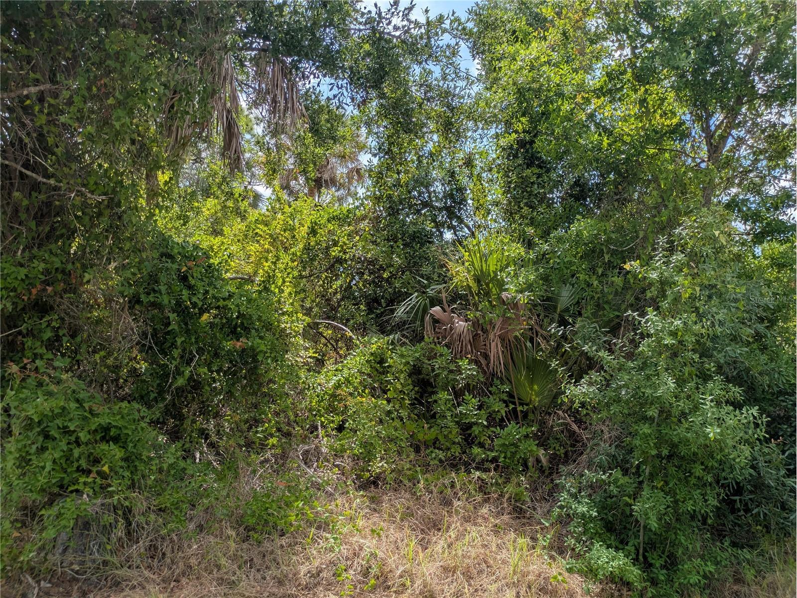 7396 Widmer Street Port Charlotte FL 33981 C7525808 image6