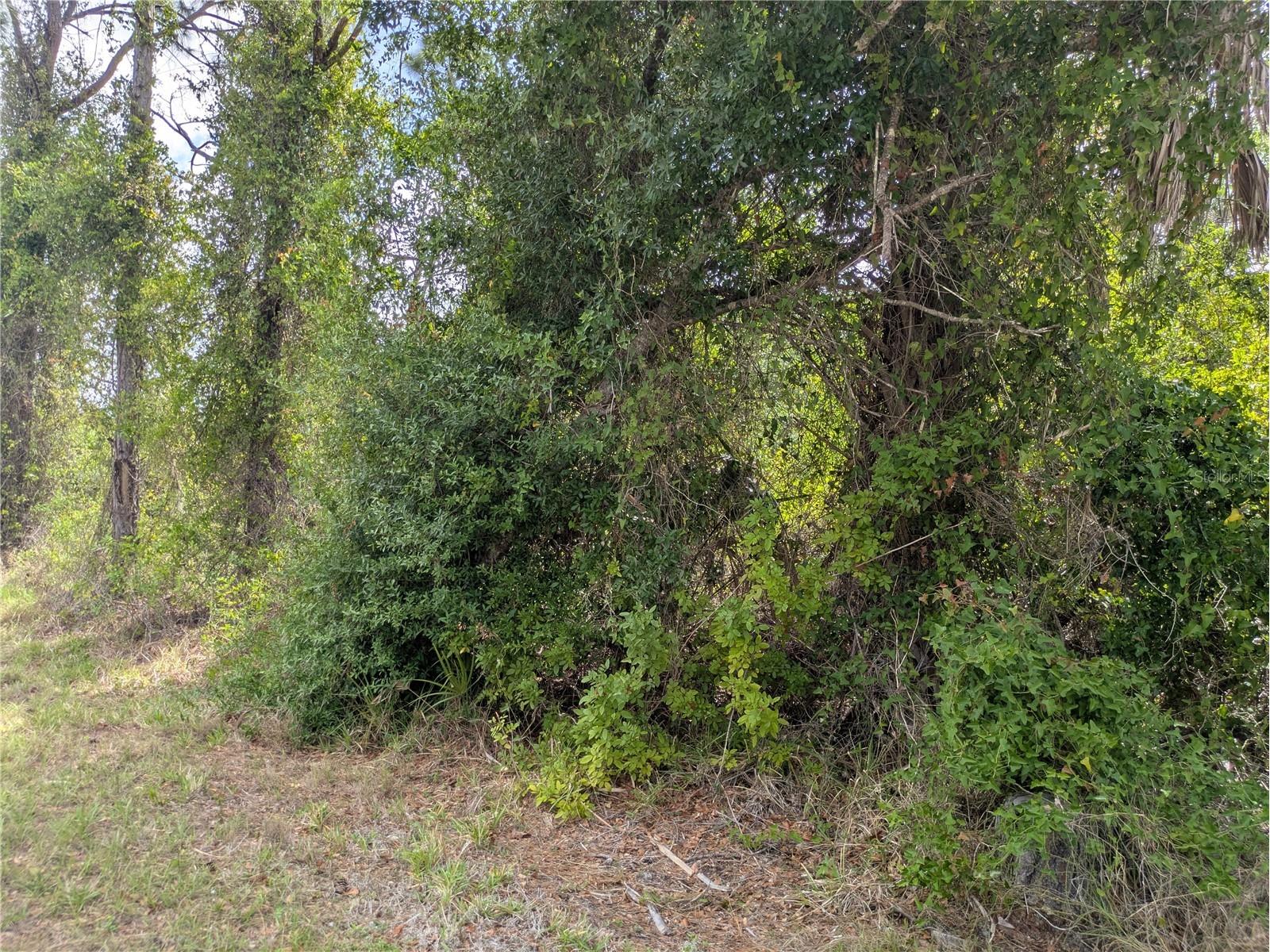 7396 Widmer Street Port Charlotte FL 33981 C7525808 image7