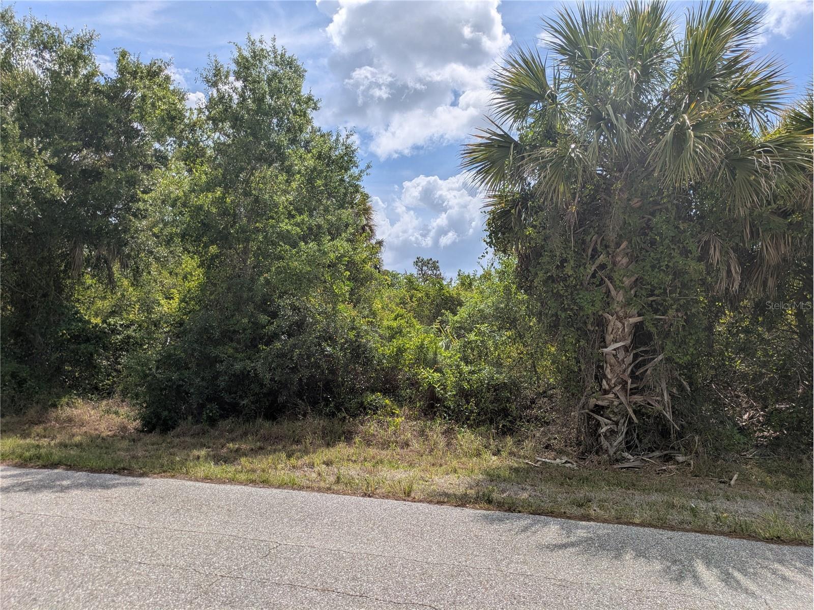 7396 Widmer Street Port Charlotte FL 33981 C7525808 image9