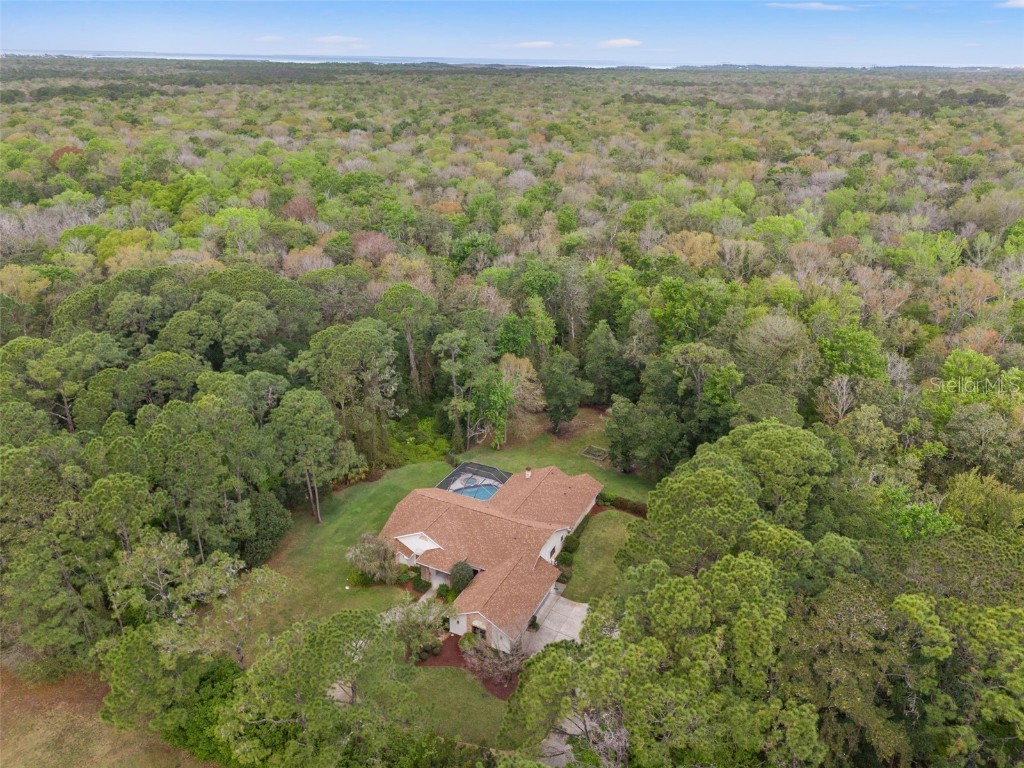 7397 Royal Oak Drive Spring Hill FL 34607 W7877405 image1