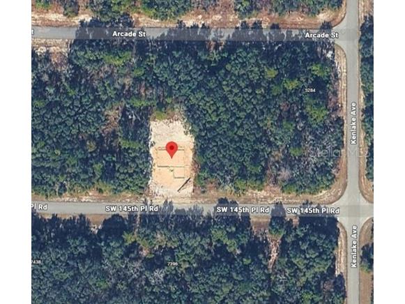 7397 SW 145th Place Road Ocala FL 34473 O6390531 image1