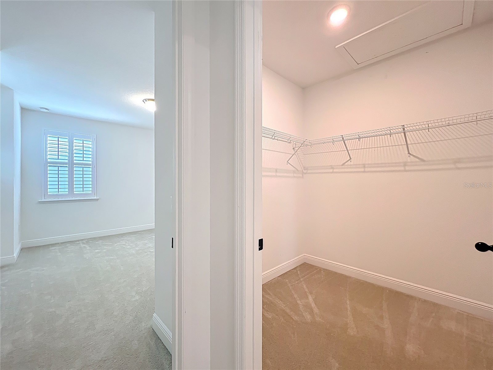 7398 Alpine Butterfly Ln Orlando FL 32819 O6425283 image38