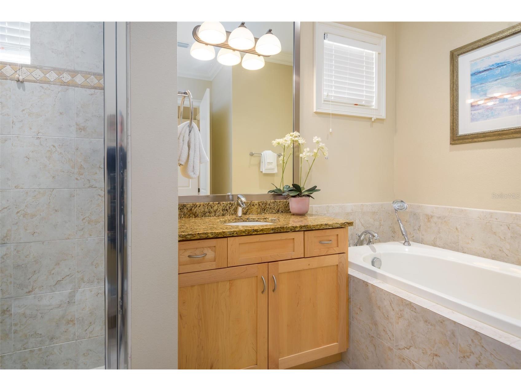 7398 Gathering Court Reunion FL 34747 S5145887 image34