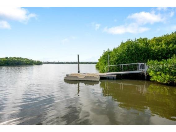 7398 Marathon Drive Seminole FL 33777 A4637049 image20