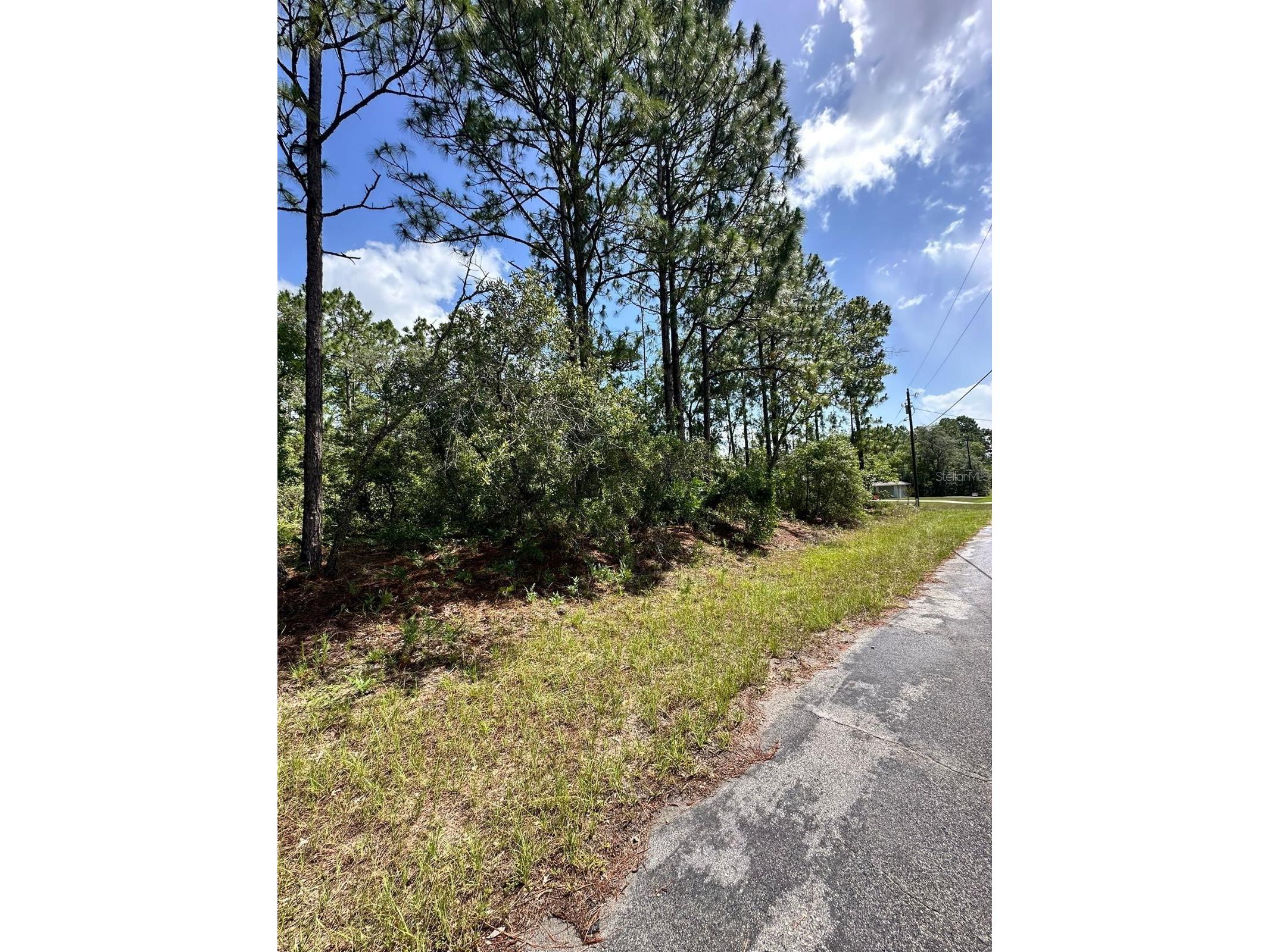 7398 N Veronica Drive Dunnellon FL 34433 O6413641 image2